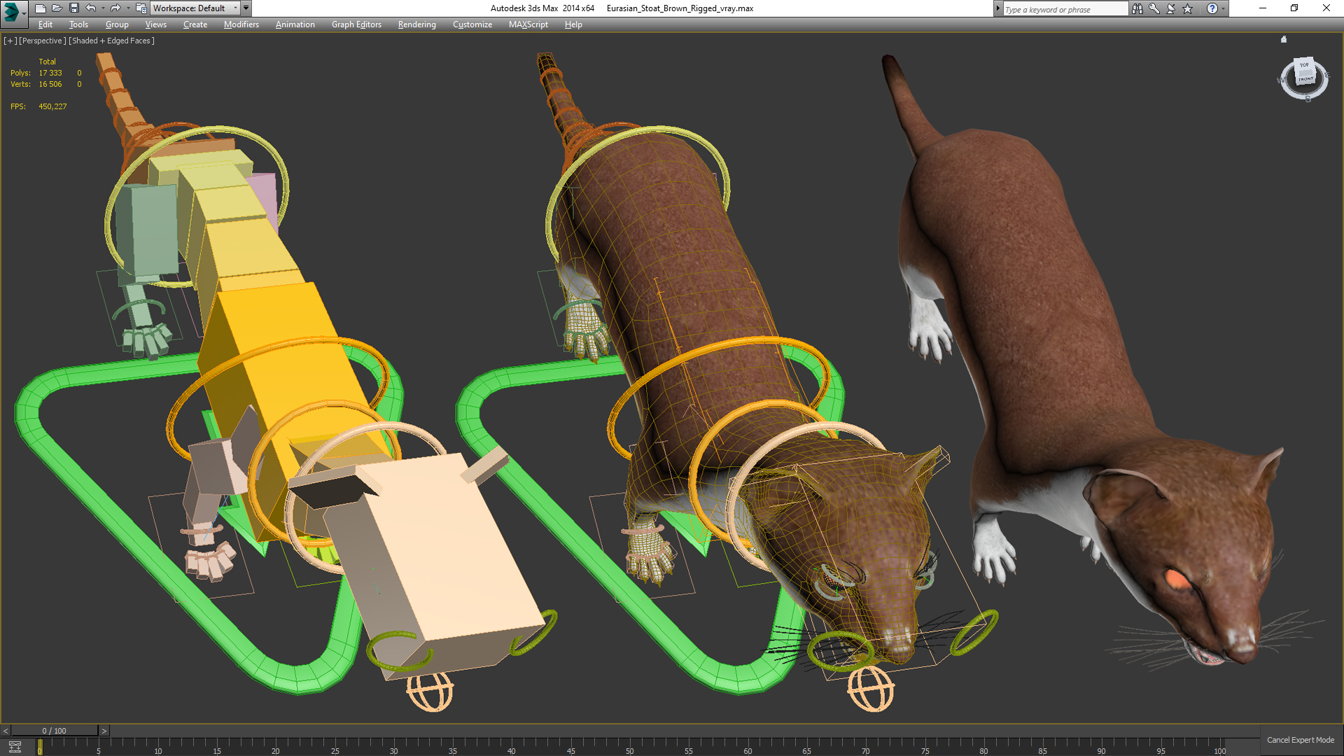 Eurasian Stoat Brown Rigged 3D