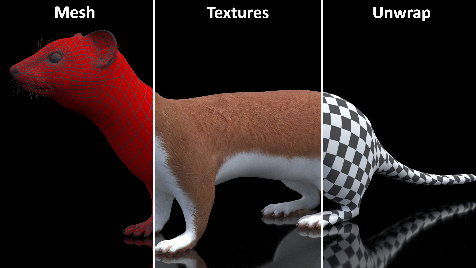 Eurasian Stoat Brown Rigged 3D