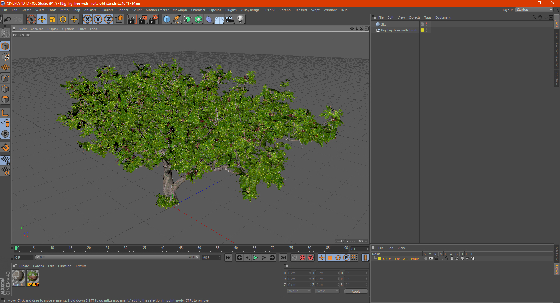 Big Fig Tree with Fruits 3D model