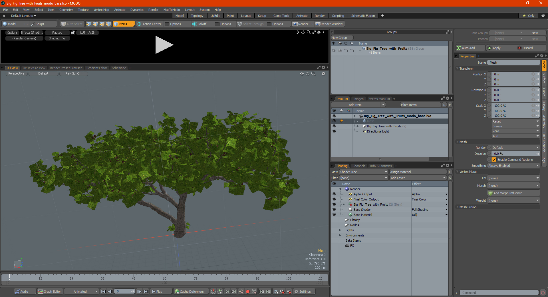 Big Fig Tree with Fruits 3D model