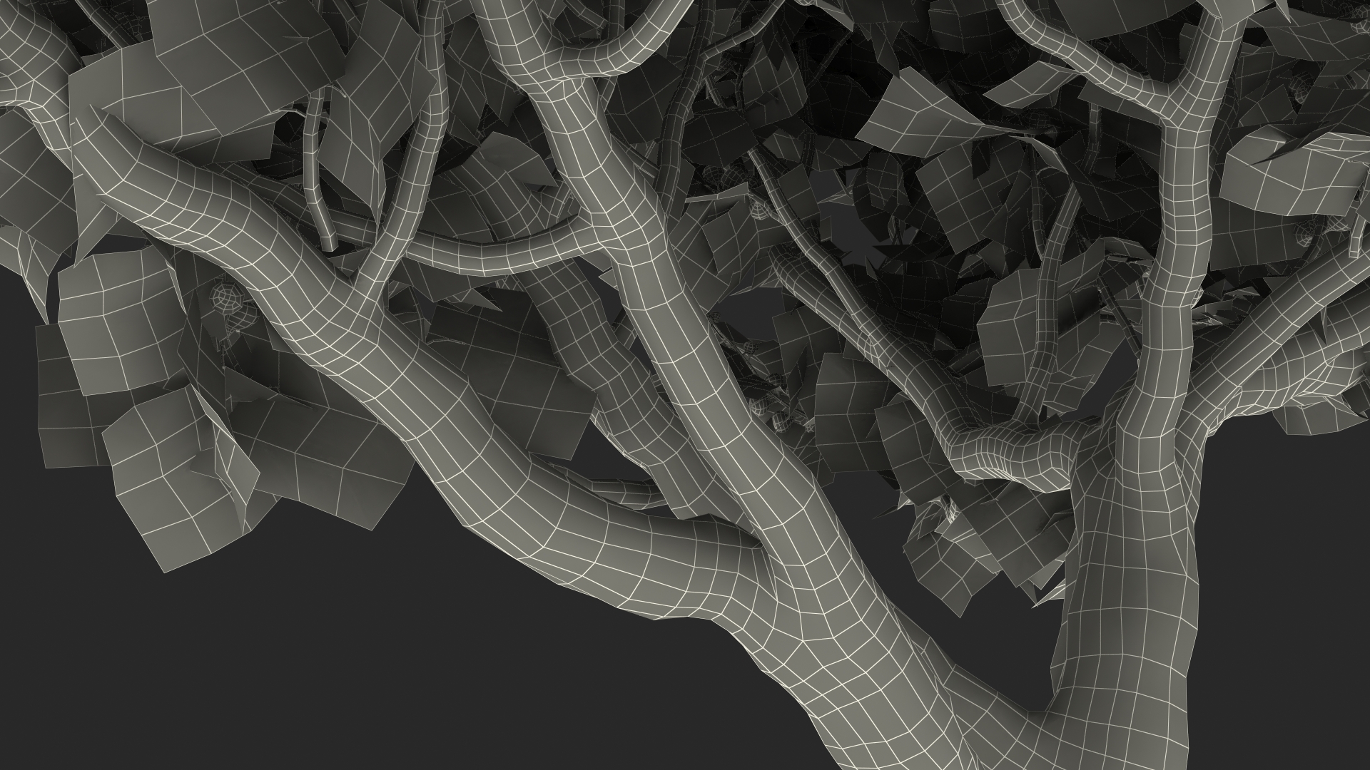 Big Fig Tree with Fruits 3D model