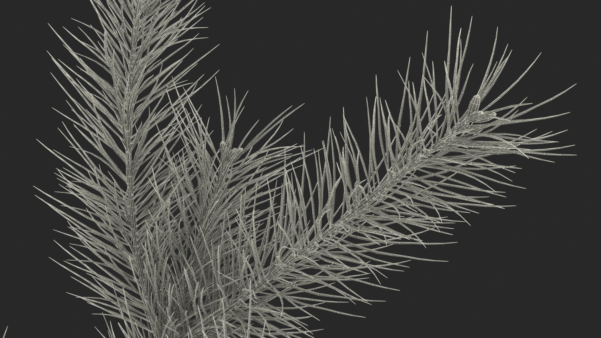 Green Pine Branch 3D