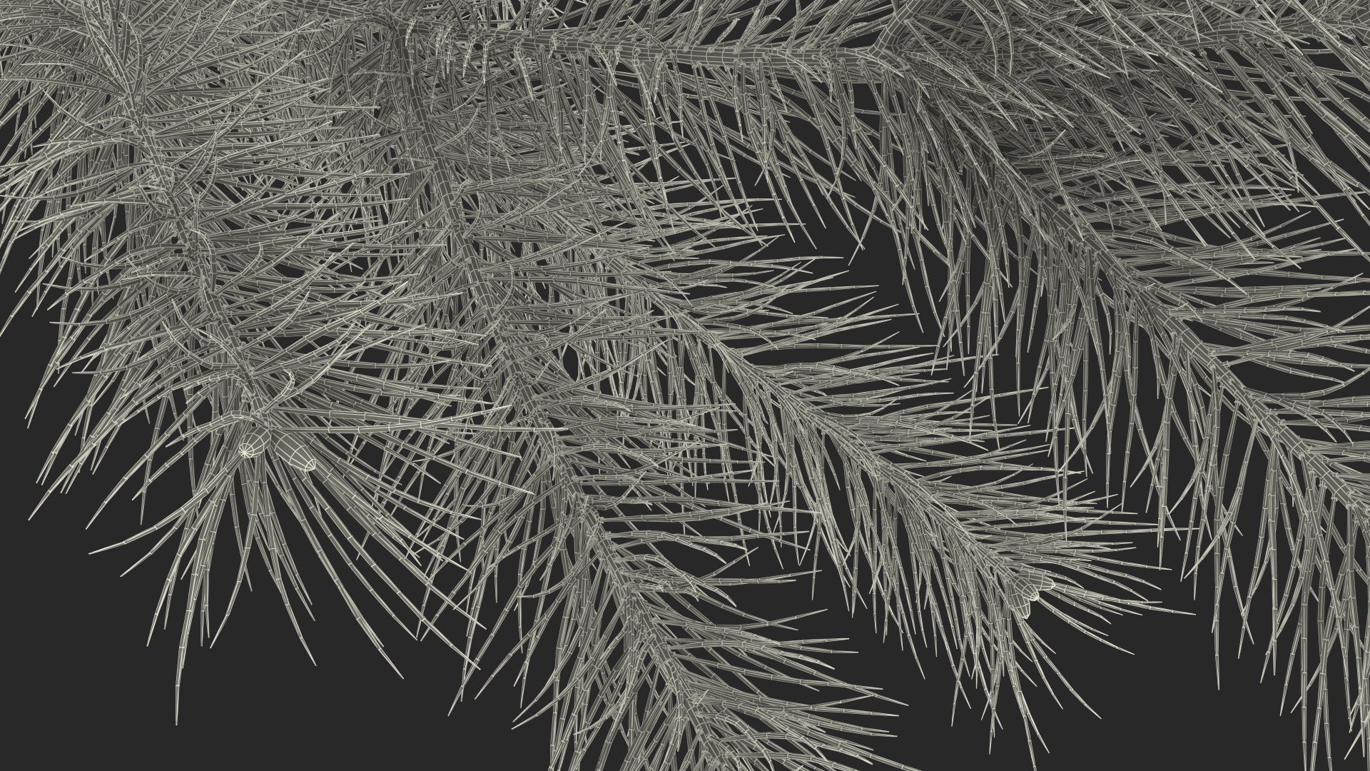 Green Pine Branch 3D