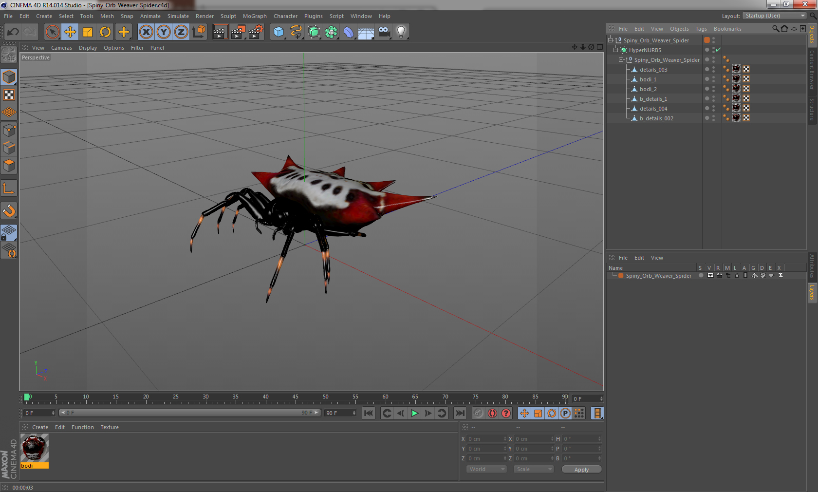 3D Spiny Orb Weaver Spider model