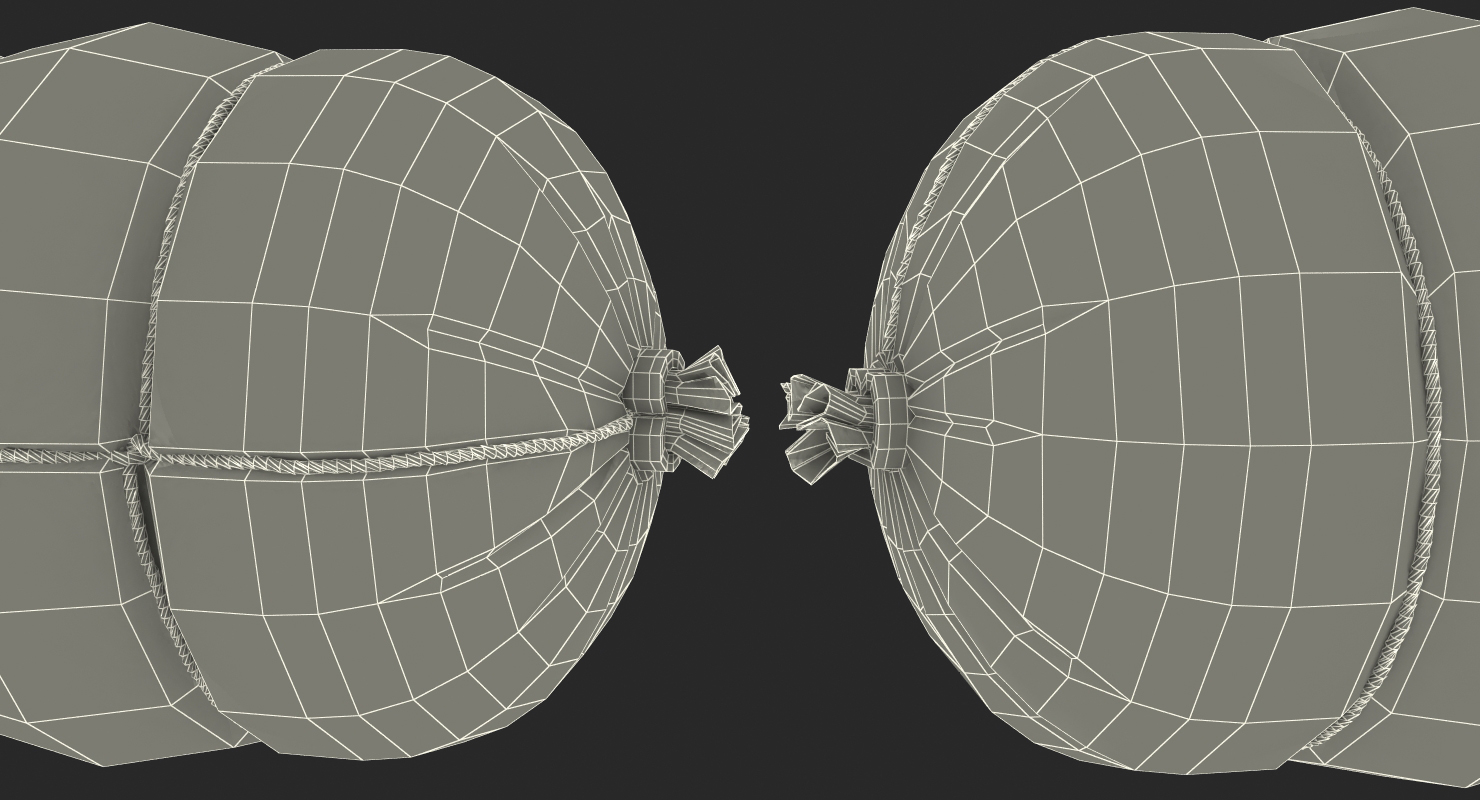 3D Sausage Bandaged with String model