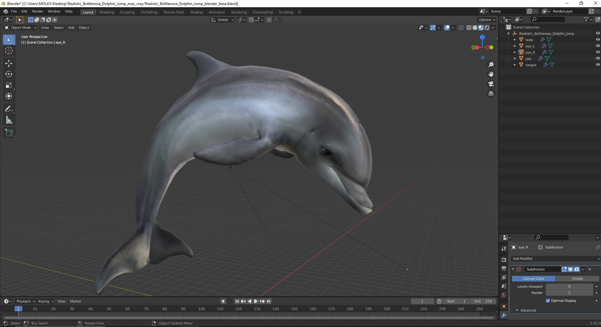 3D Realistic Bottlenose Dolphin Jump model