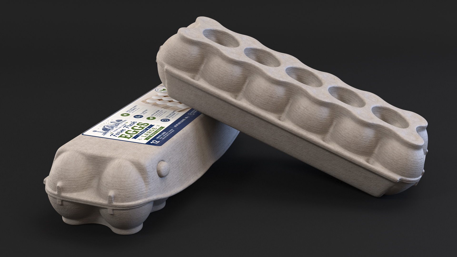 Egg Carton, view 4