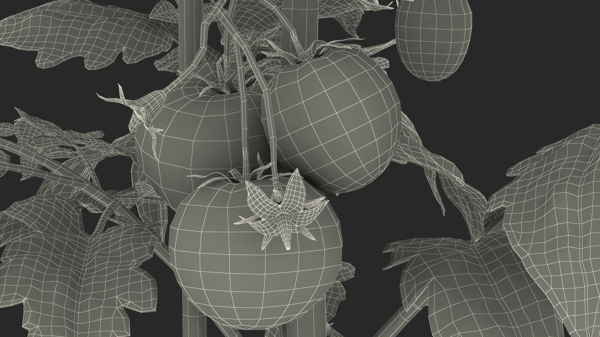 3D model Red Tomato Plant Grown Pot Fur