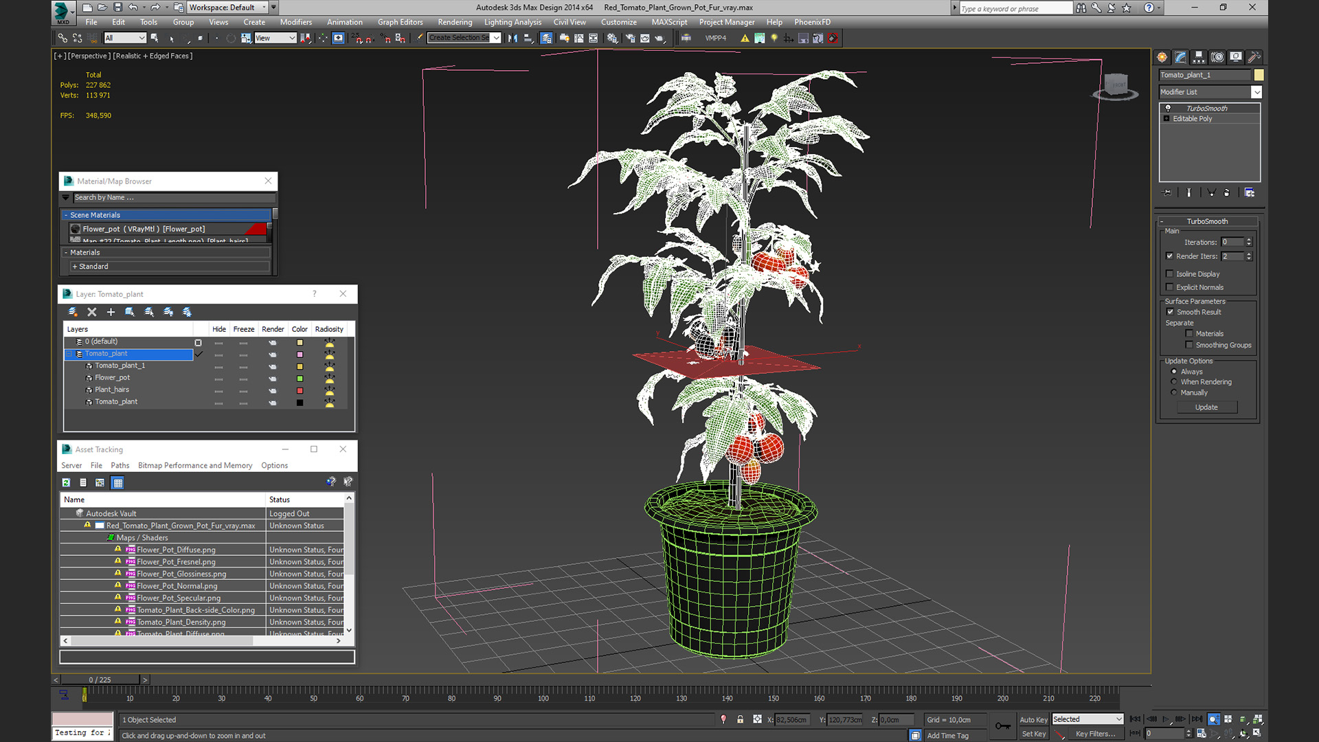 3D model Red Tomato Plant Grown Pot Fur