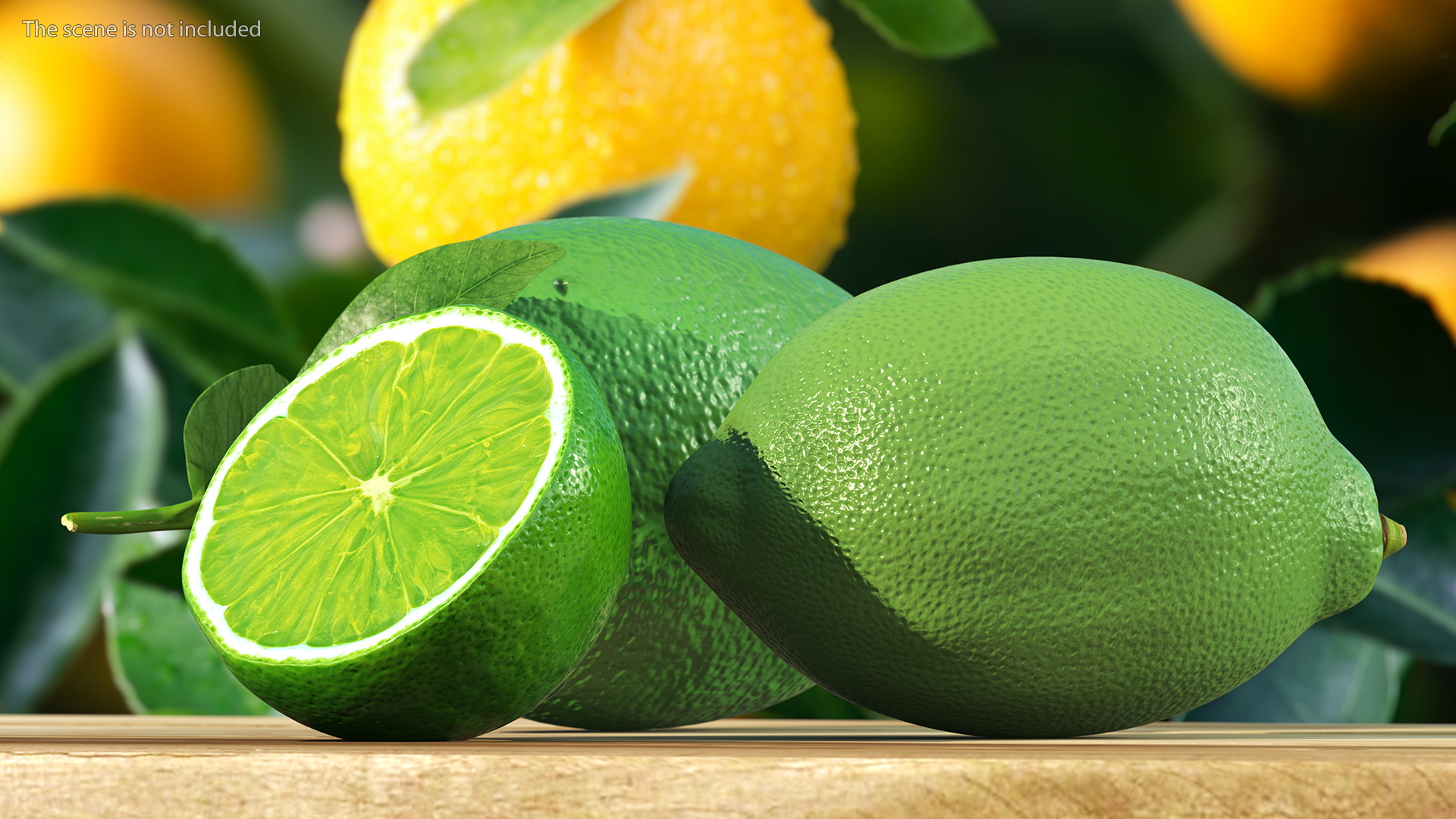 3D model Green Lemon Set