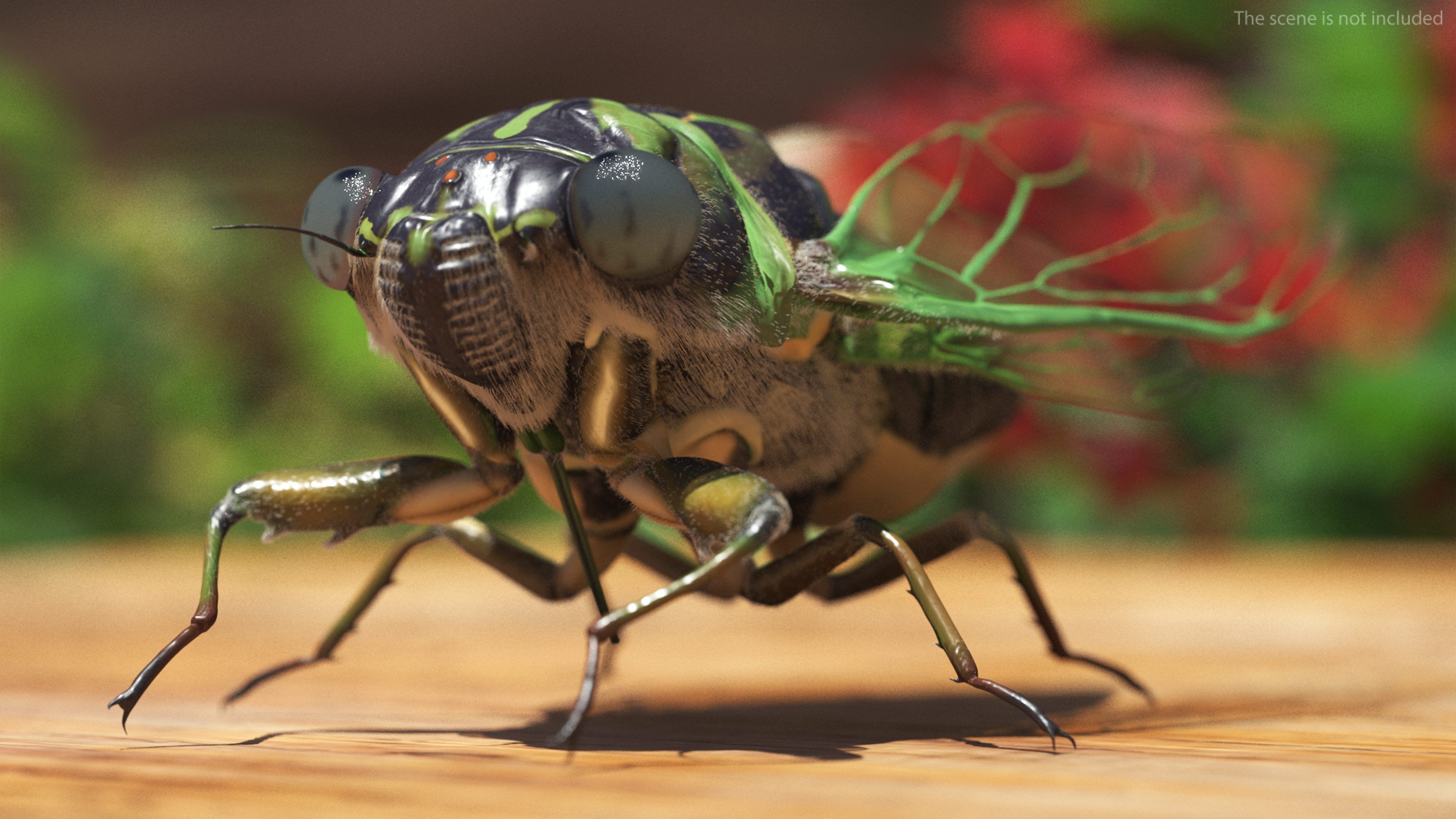 Cicada Fur Rigged 3D
