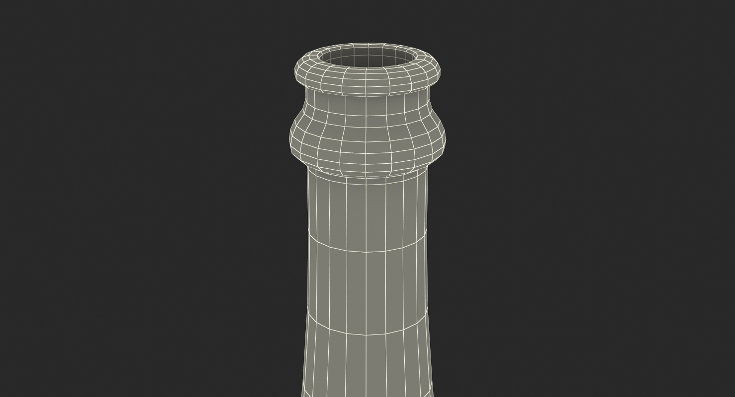 3D Champagne Bottle