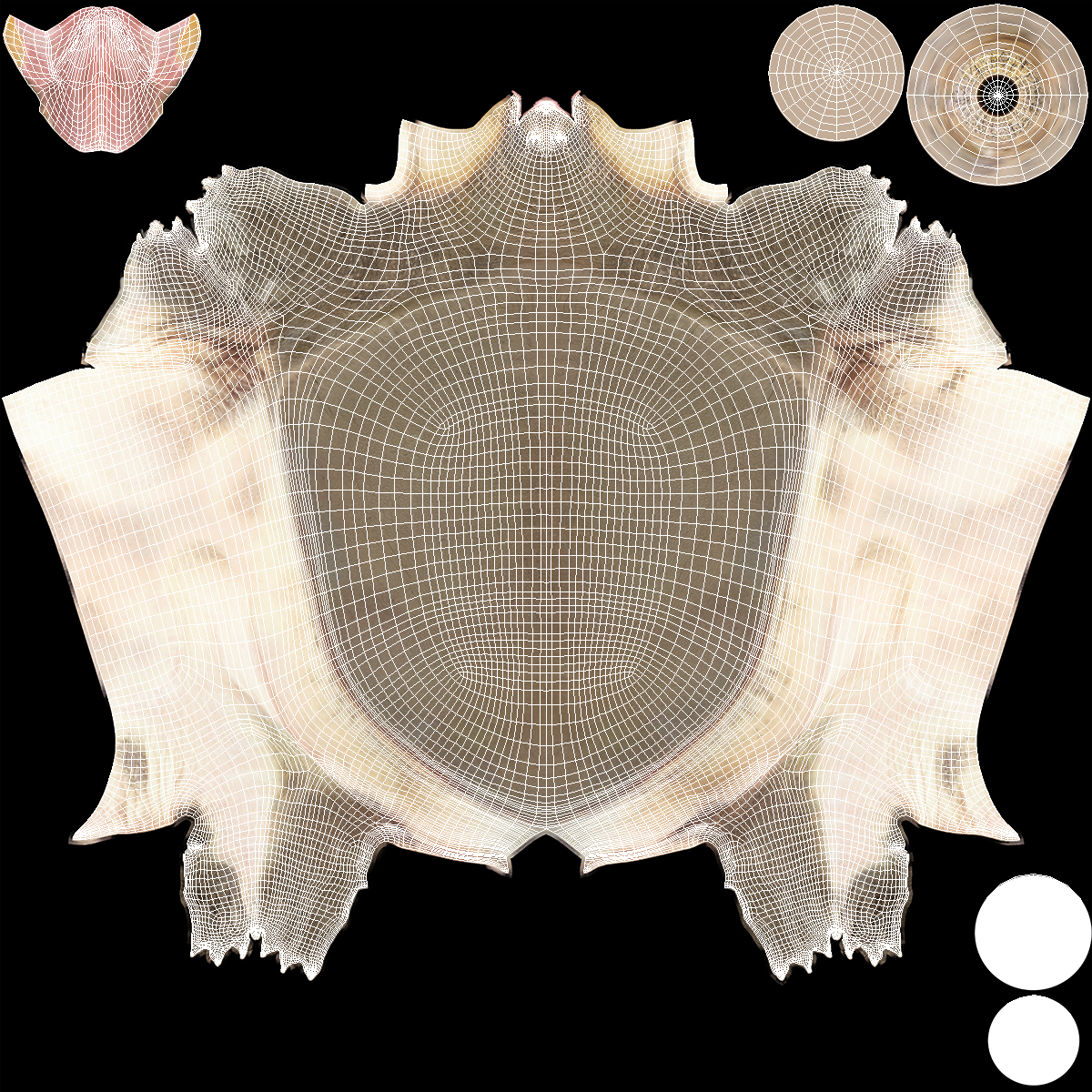 Pelochelys Cantorii 3D model