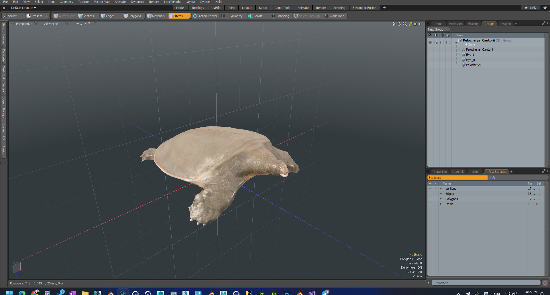 Pelochelys Cantorii 3D model