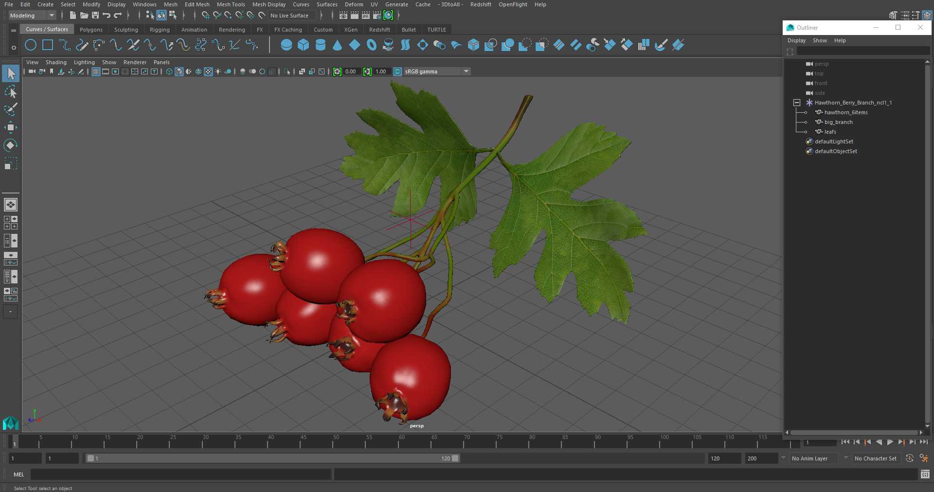 3D Hawthorn Berry Branch