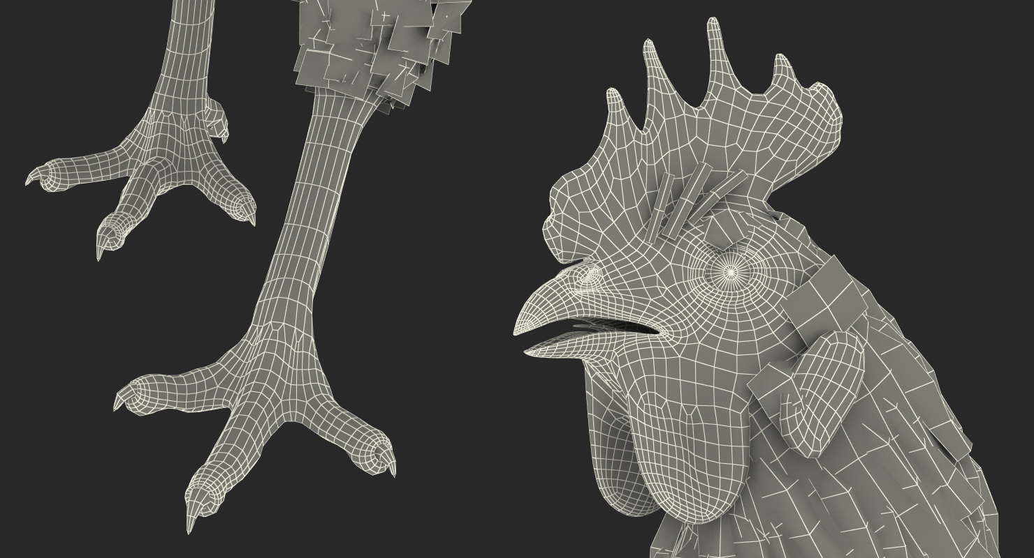Brown Hen Walking 3D