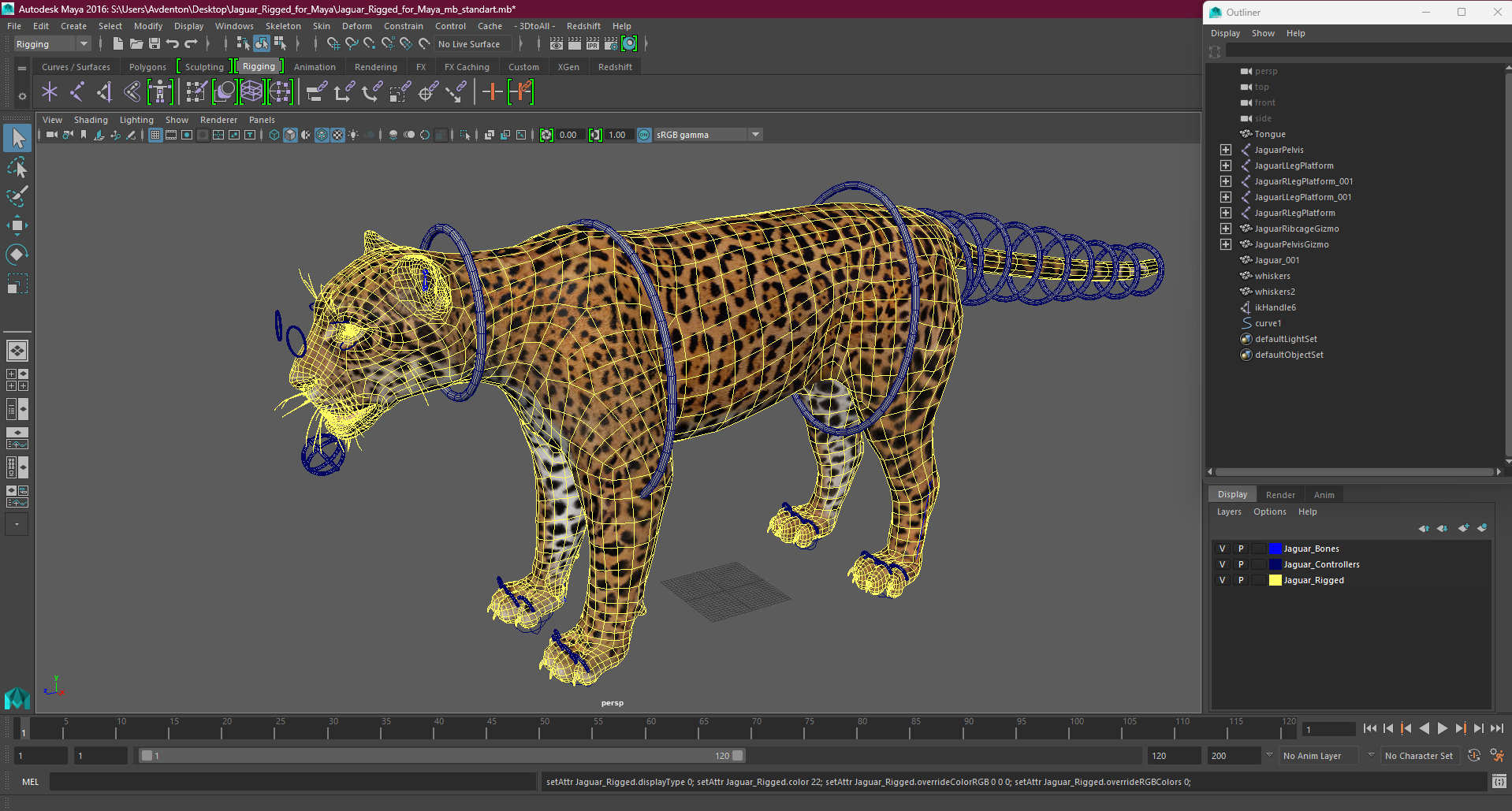 Jaguar Rigged for Maya 3D