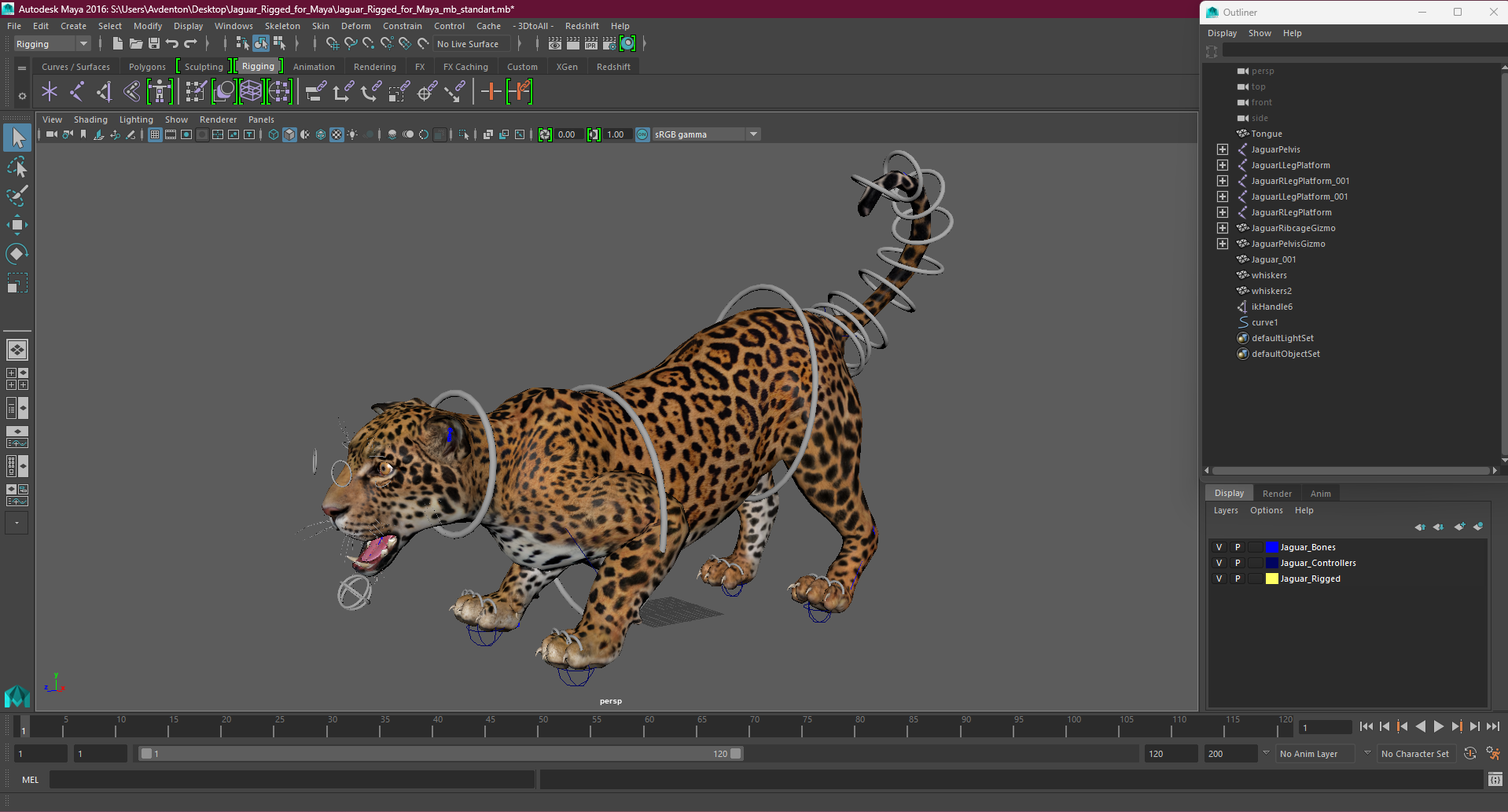 Jaguar Rigged for Maya 3D
