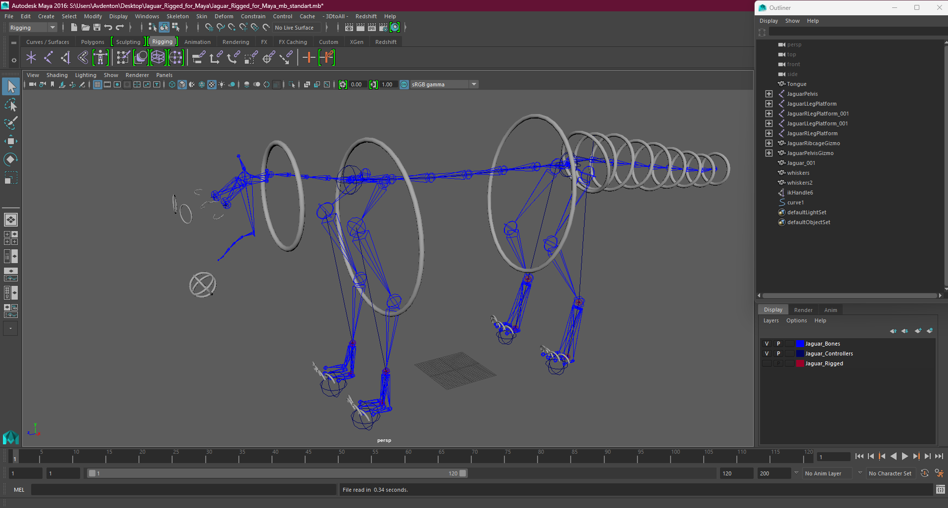 Jaguar Rigged for Maya 3D