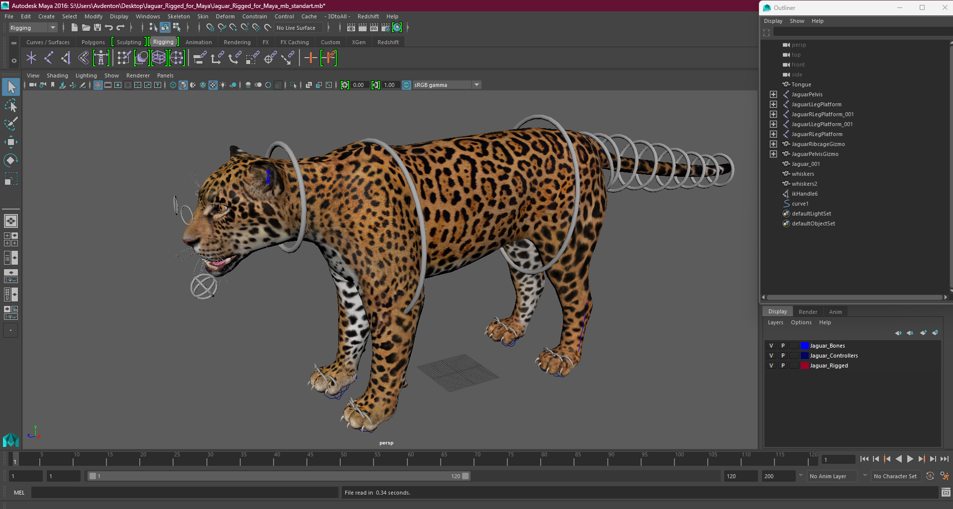 Jaguar Rigged for Maya 3D