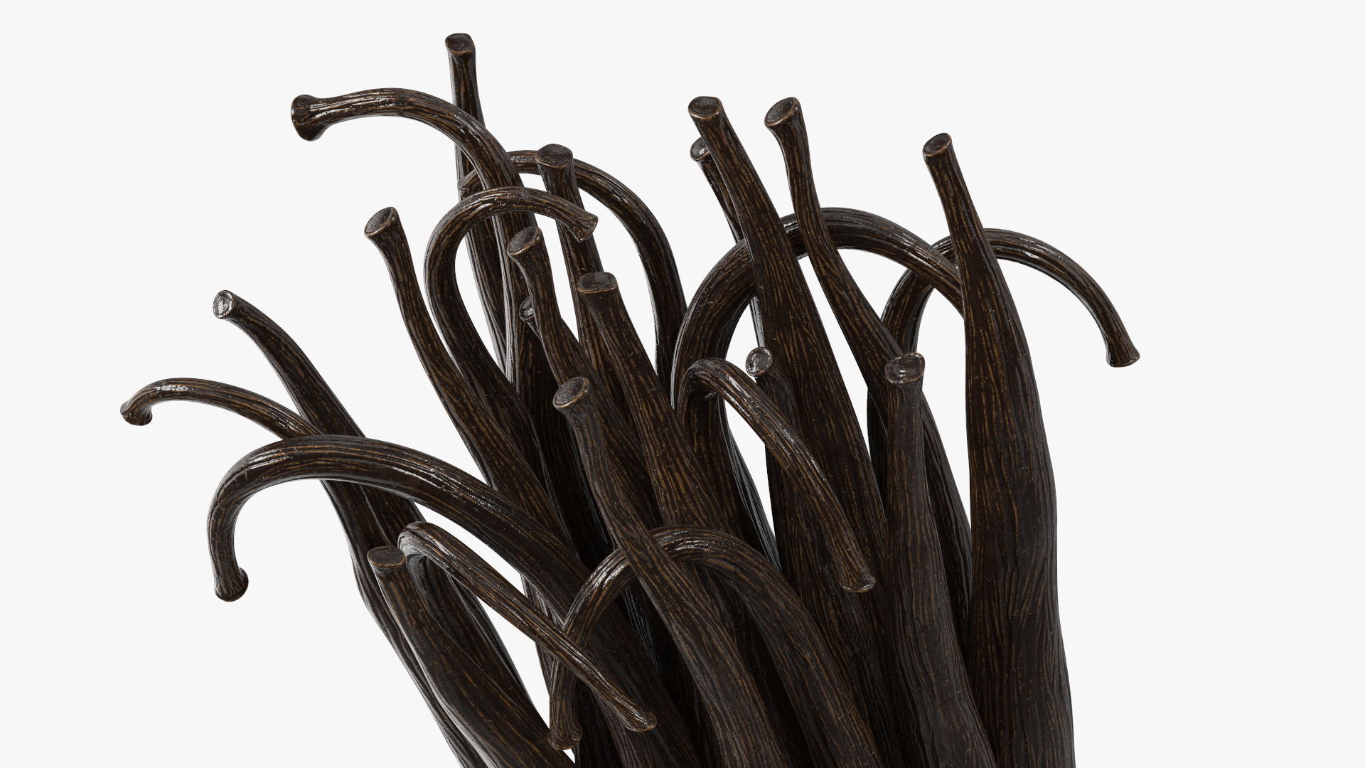 Vanilla Sticks Bunch Fur 3D model