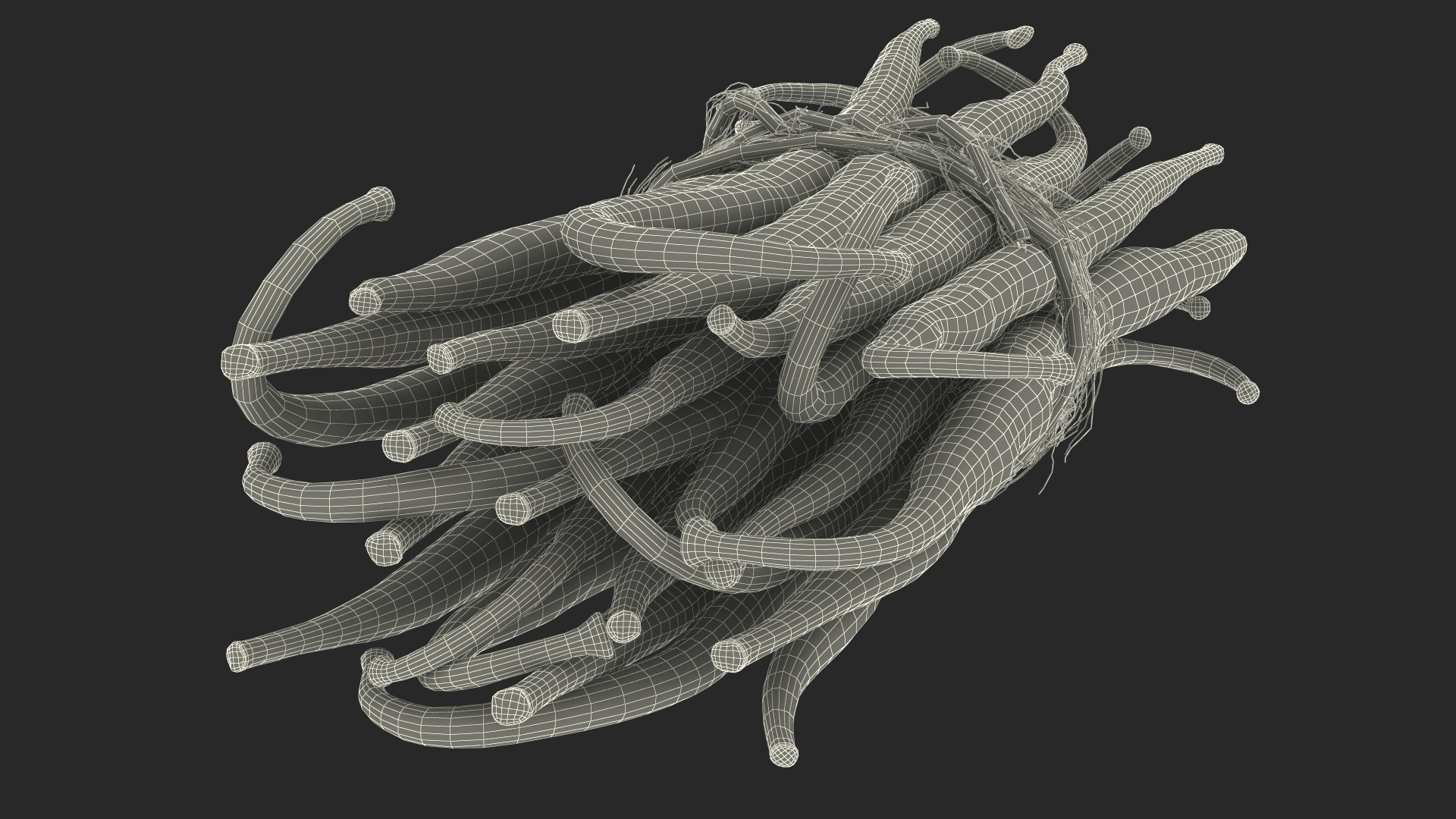 Vanilla Sticks Bunch Fur 3D model