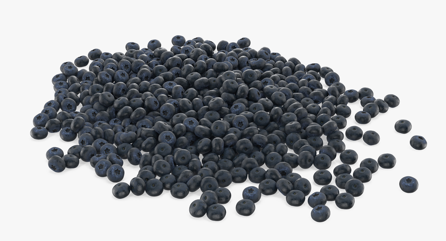Blueberry 3D model