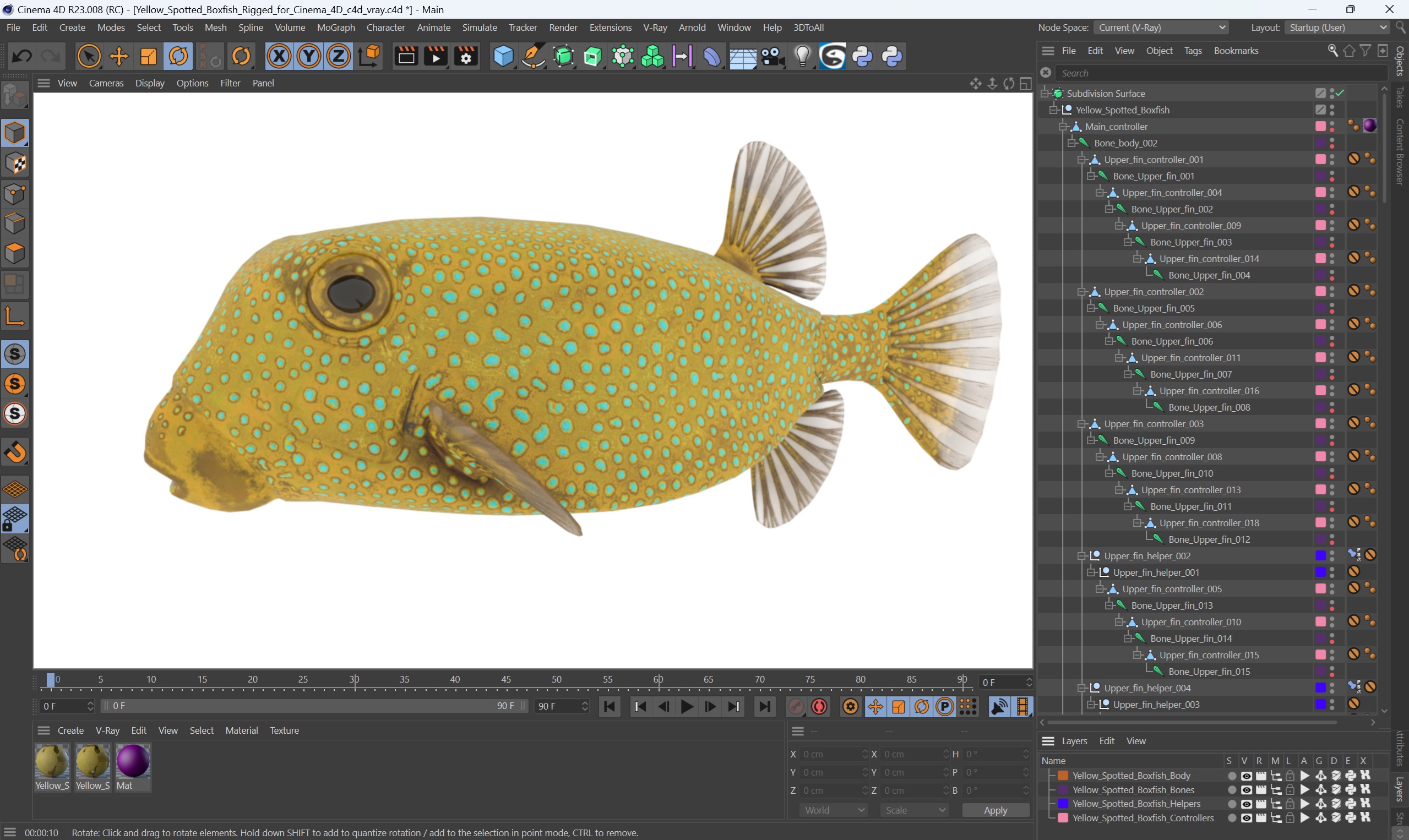 3D Yellow Spotted Boxfish Rigged for Cinema 4D model