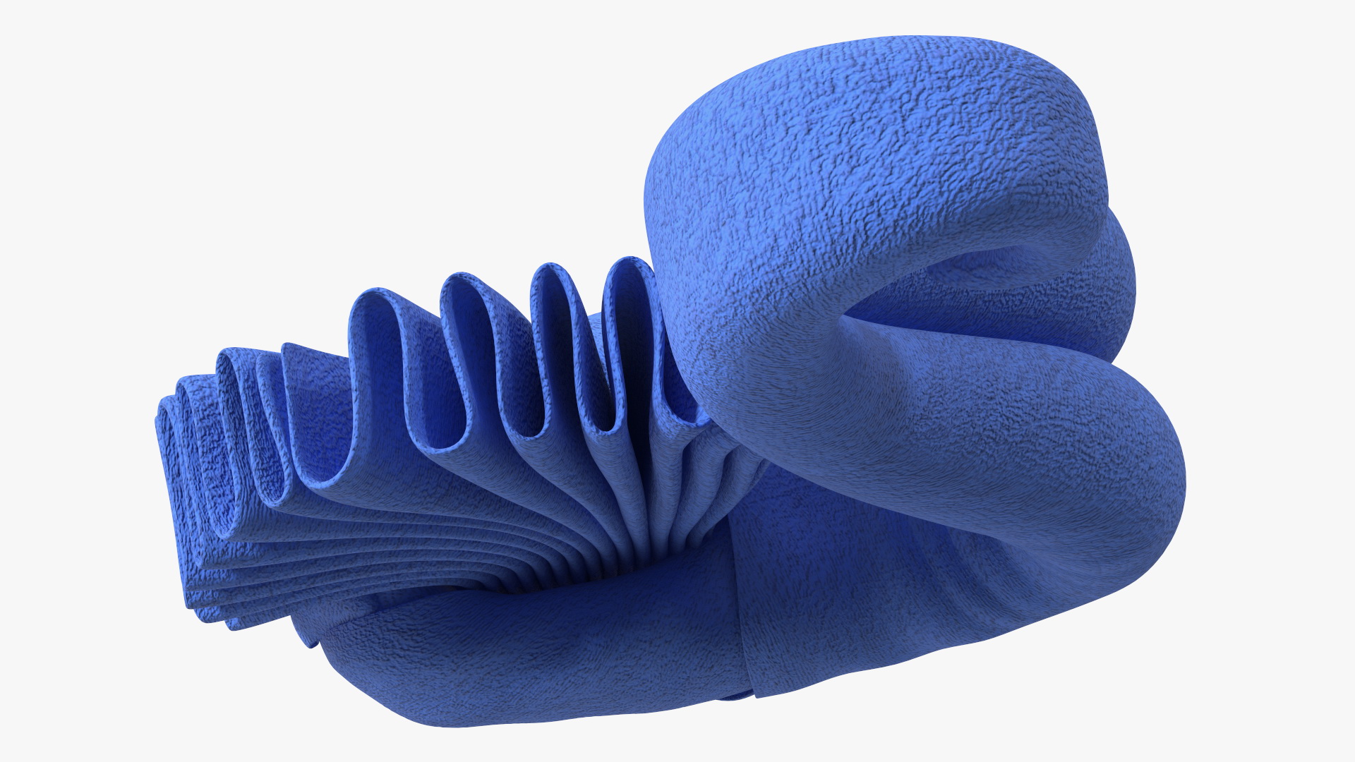 Designer Towel Swan Blue 3D model