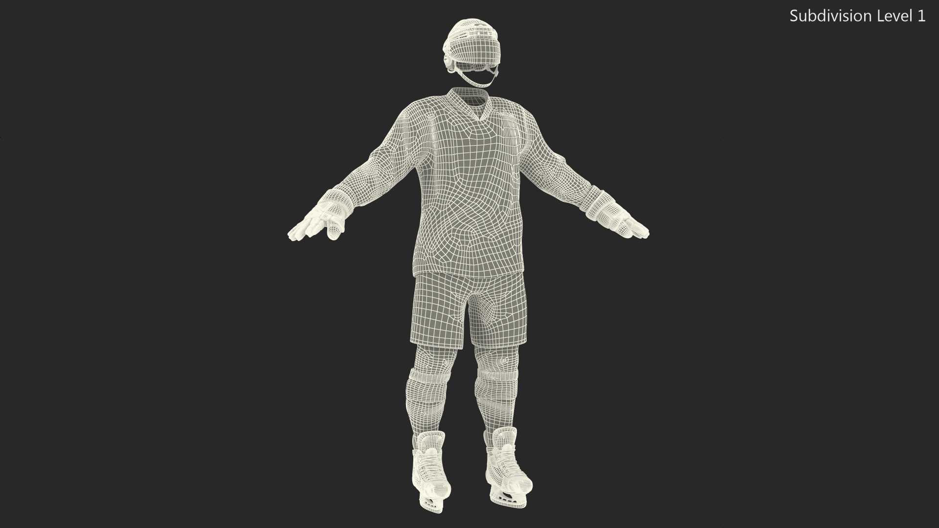 Hockey Equipment Green 3D