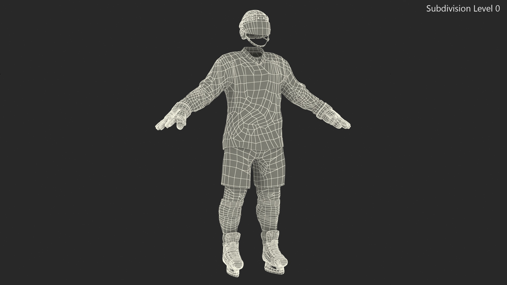 Hockey Equipment Green 3D