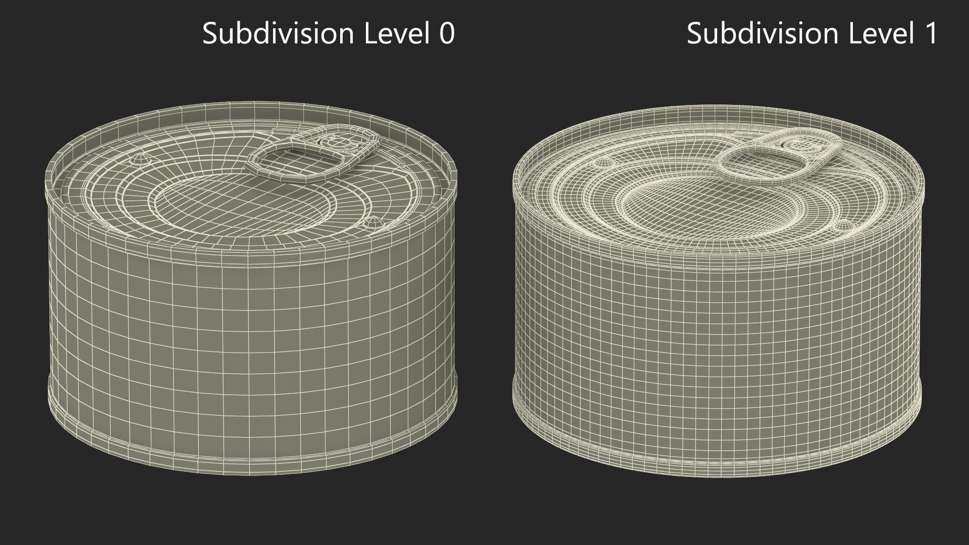 3D Canned Tuna Chunks model