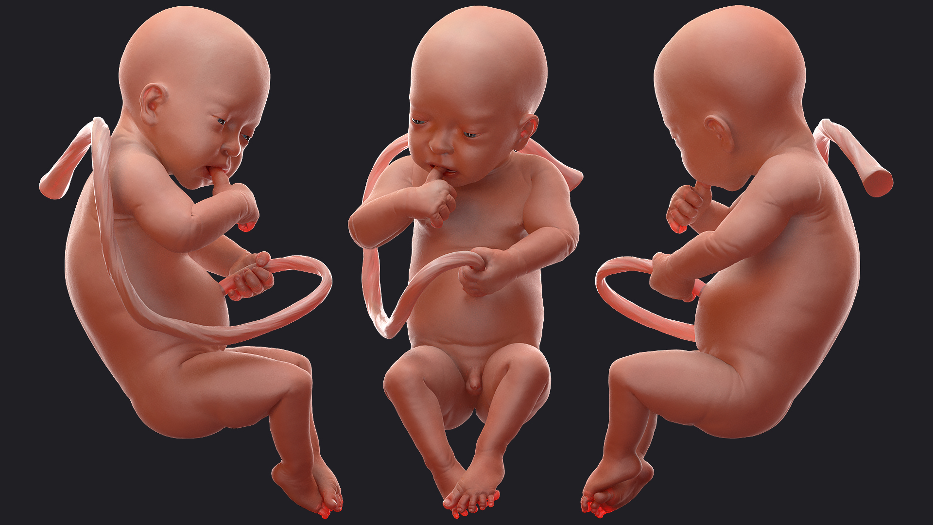 3D model Baby Boy at 32 Weeks