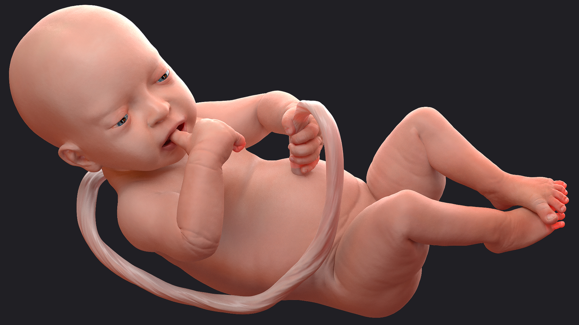 3D model Baby Boy at 32 Weeks