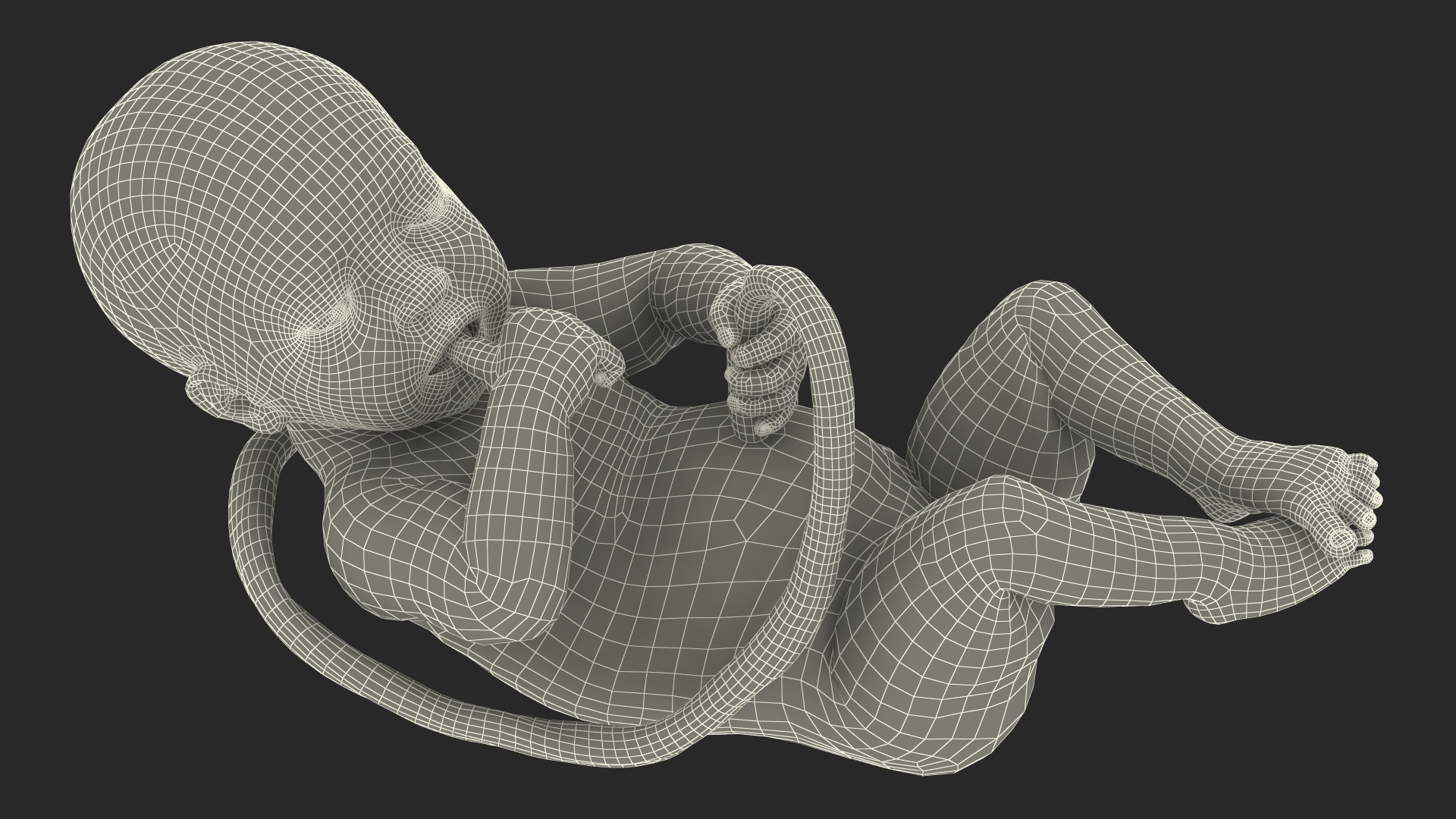 3D model Baby Boy at 32 Weeks