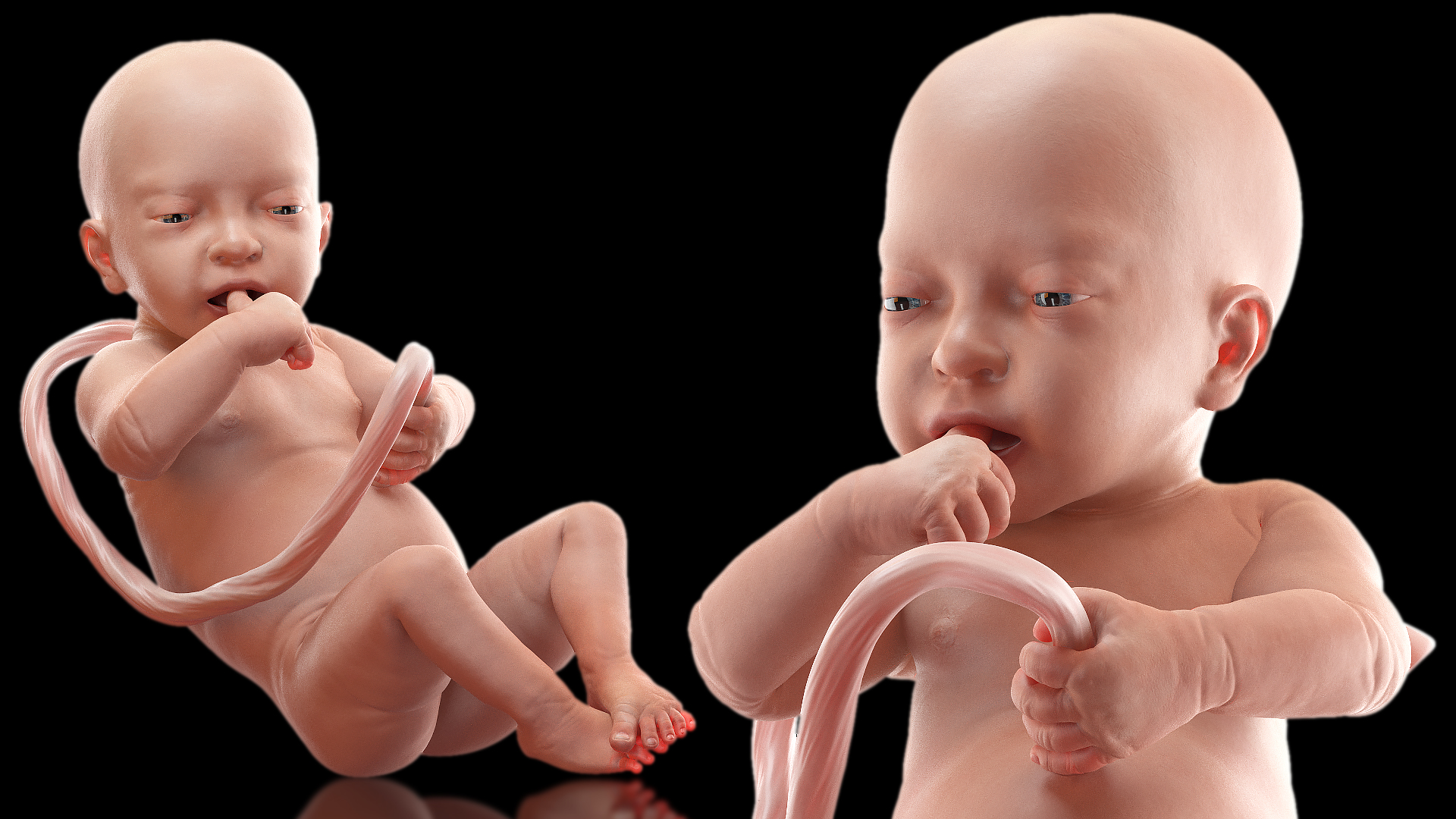 3D model Baby Boy at 32 Weeks