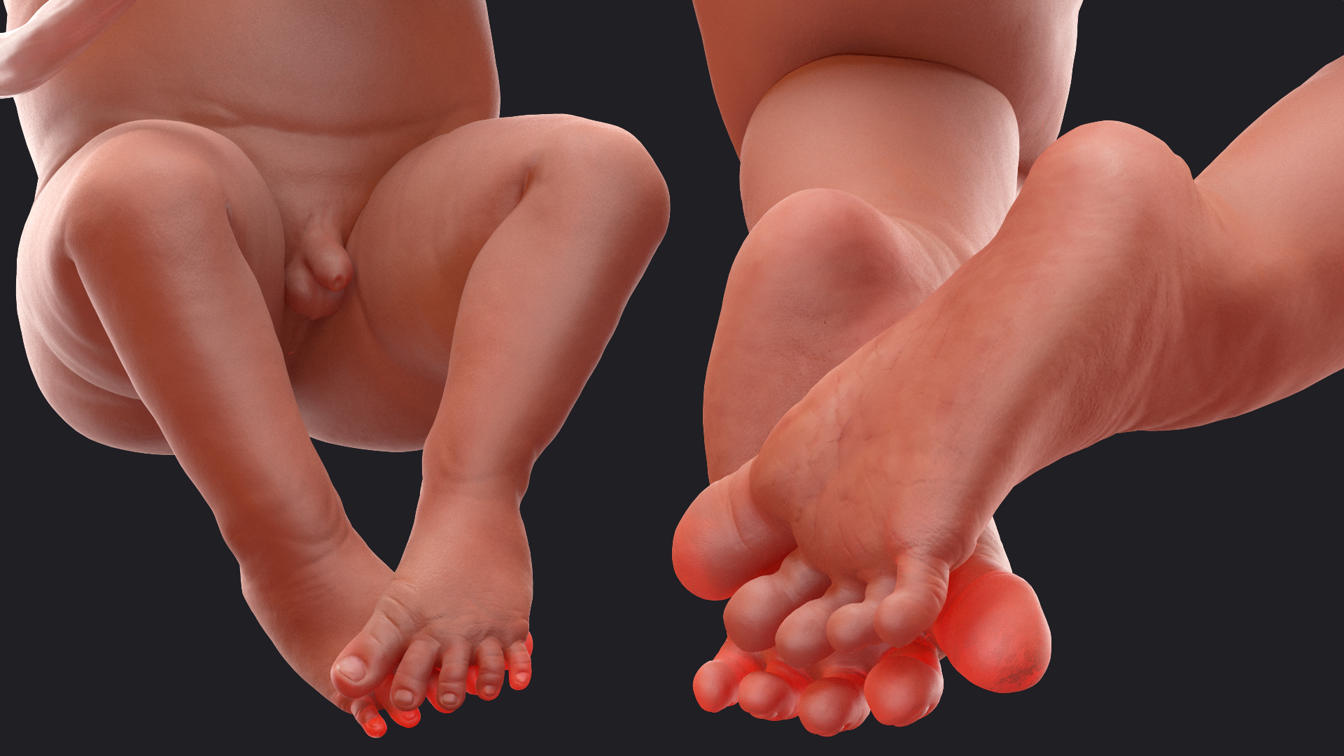 3D model Baby Boy at 32 Weeks