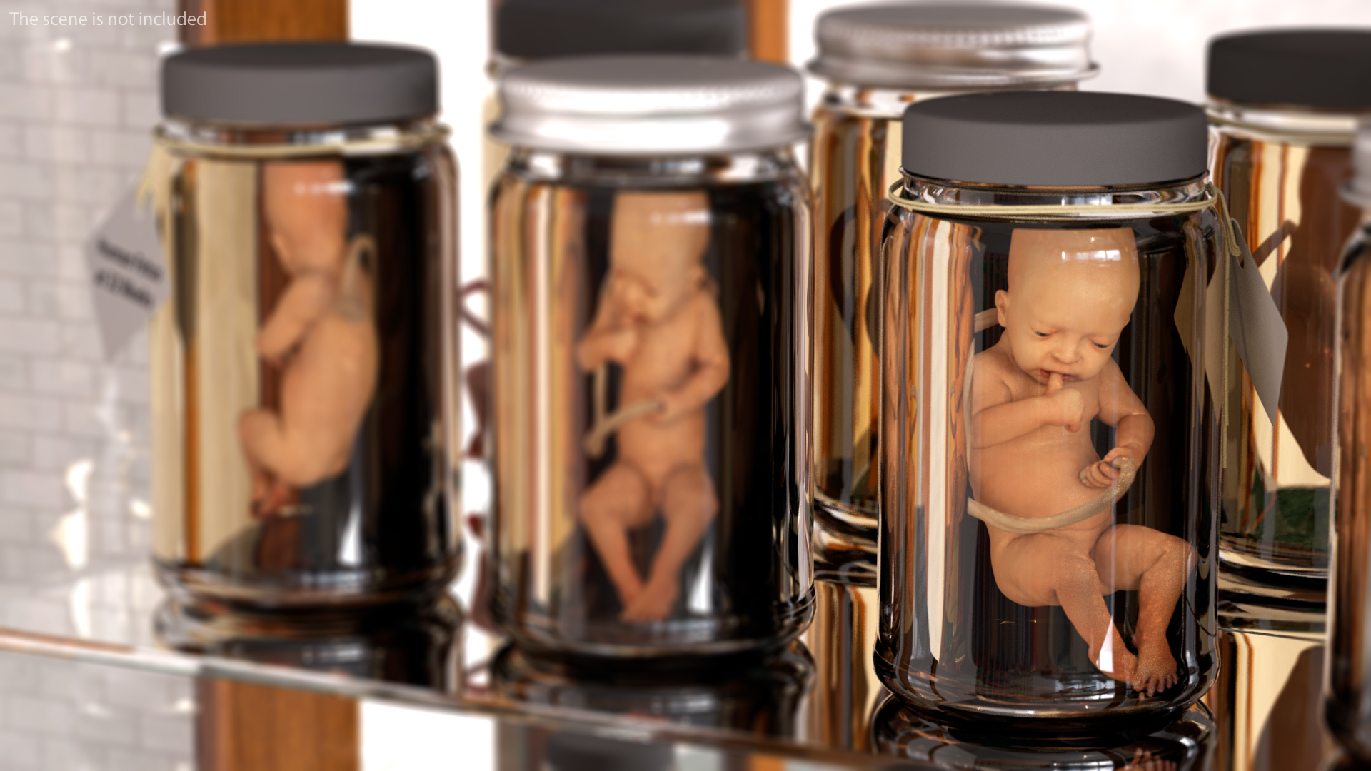 3D model Baby Boy at 32 Weeks