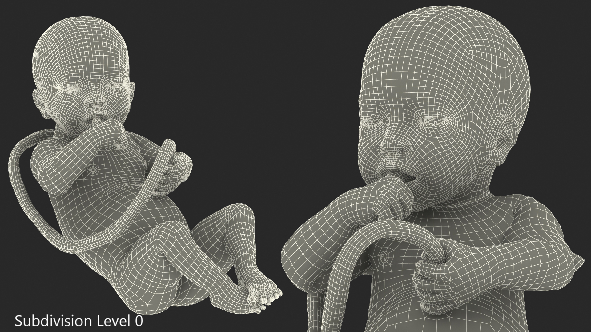 3D model Baby Boy at 32 Weeks