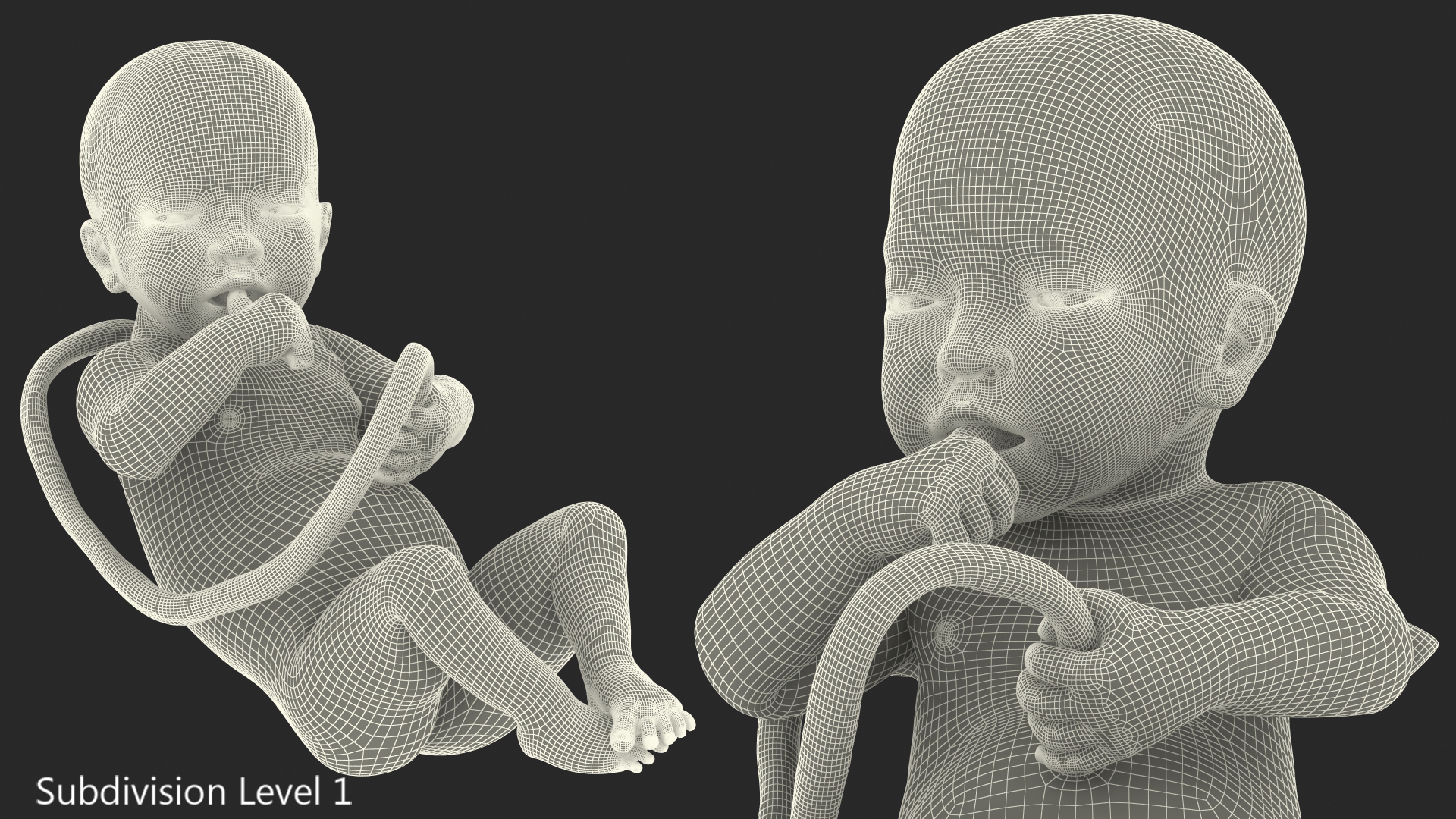 3D model Baby Boy at 32 Weeks