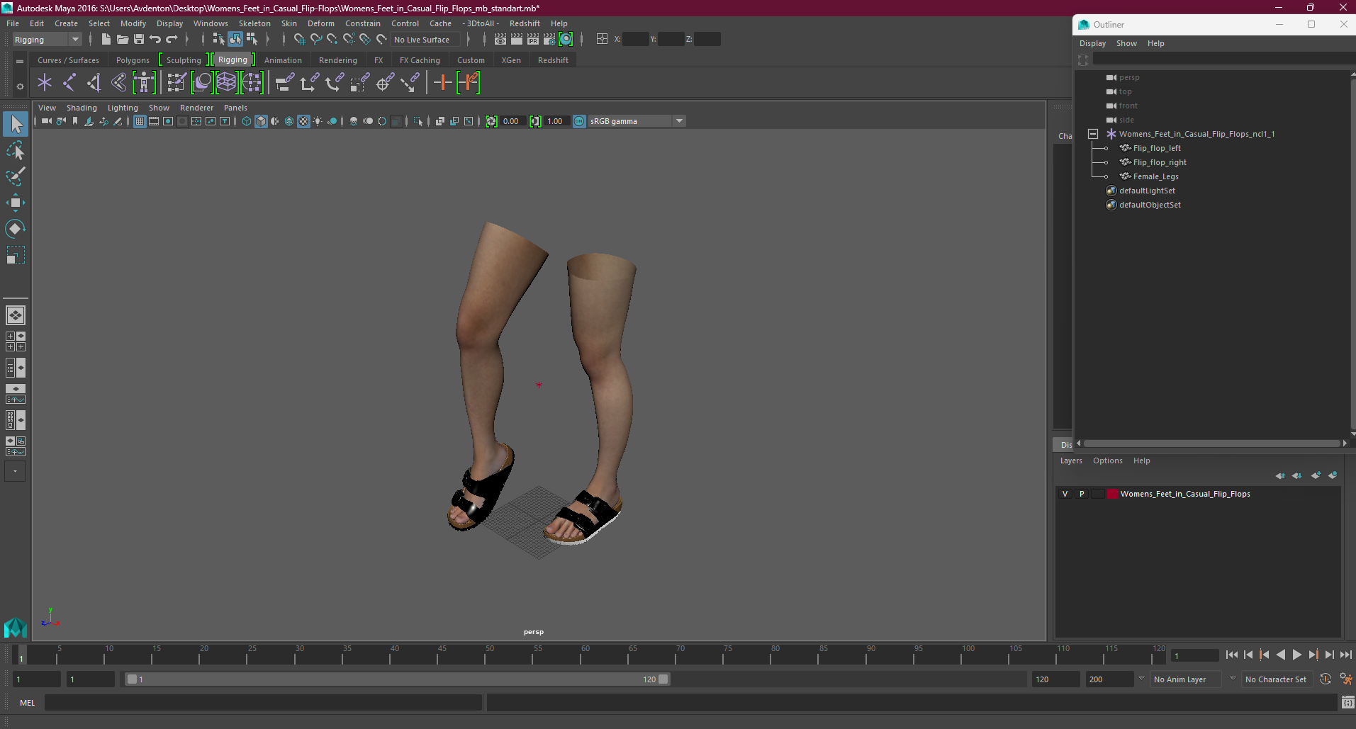 Womens Feet in Casual Flip-Flops 3D