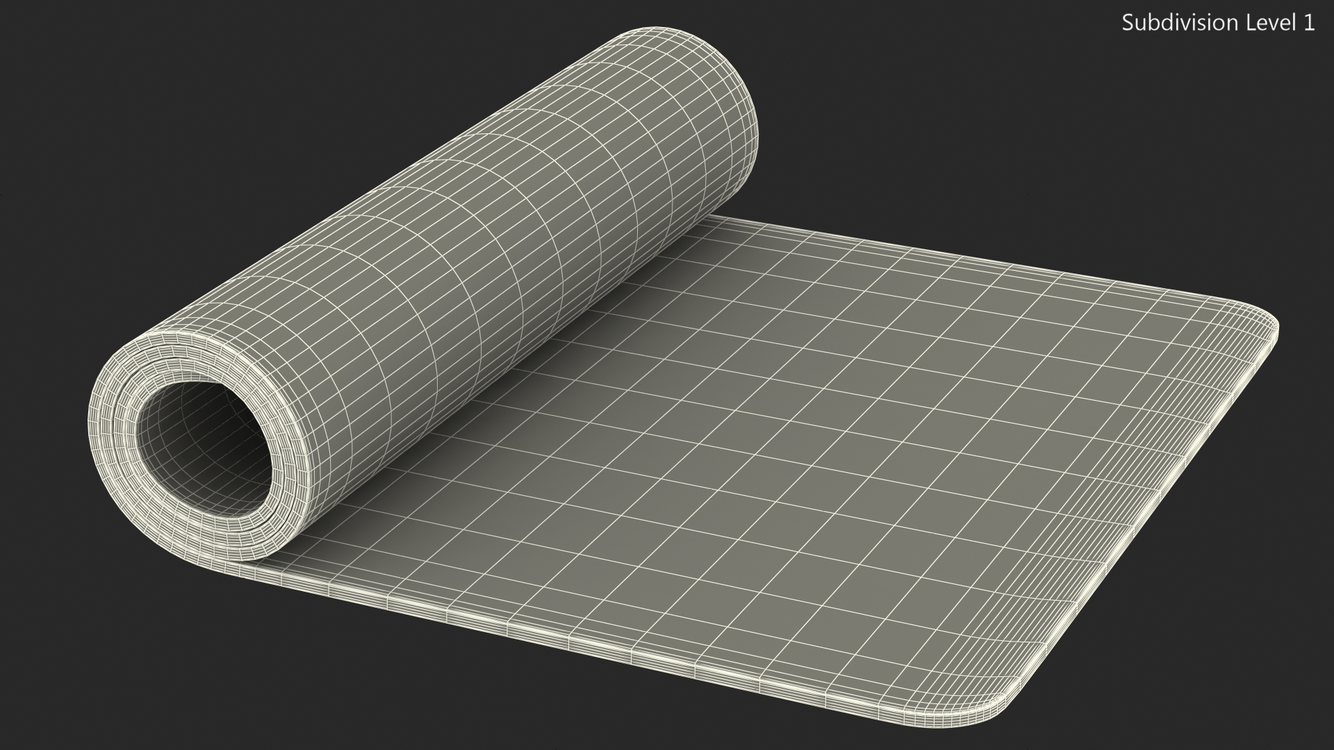 3D model Yoga Mat Rolled Cork