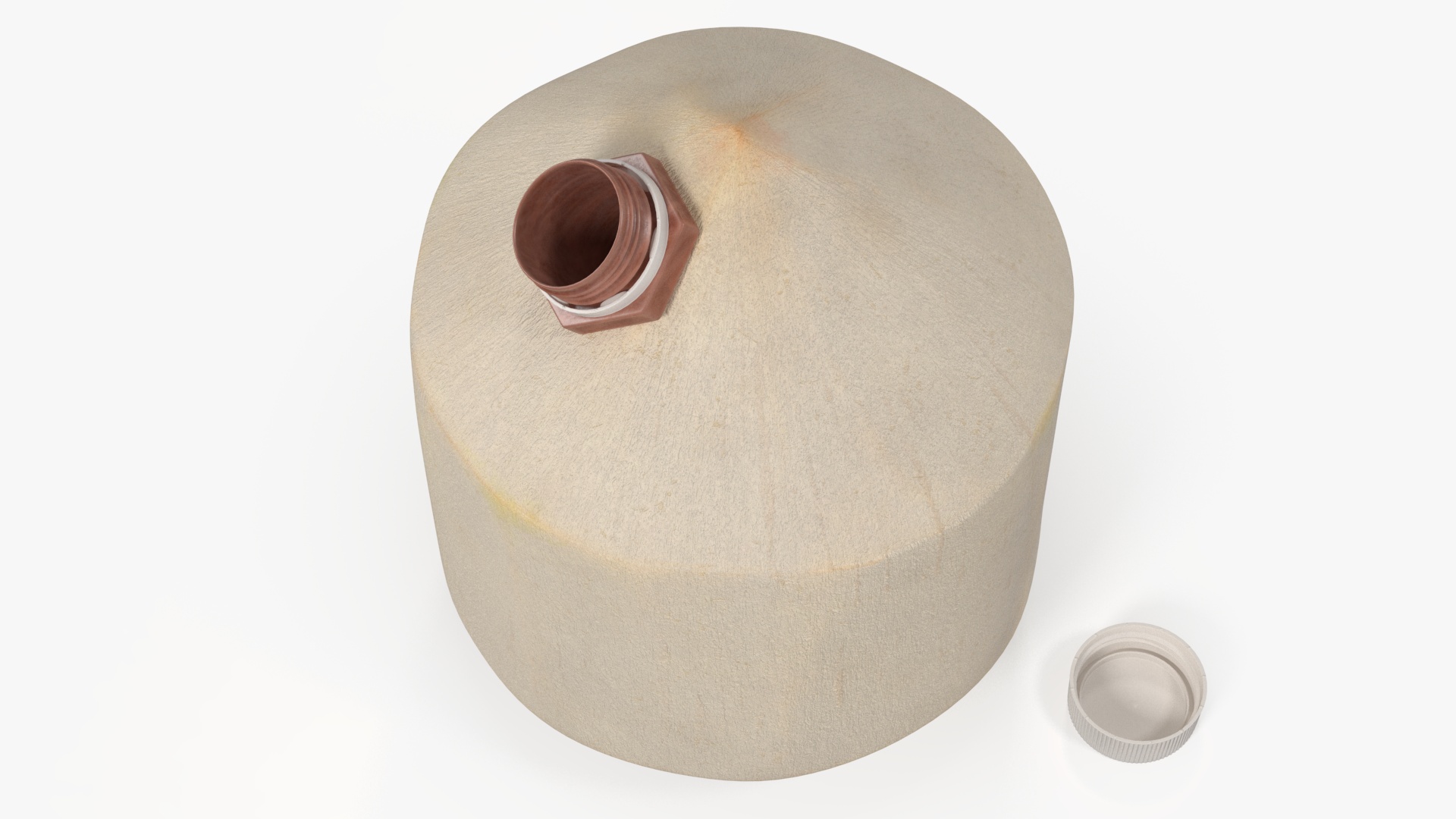 3D Young Shelled Tapped Coconut model