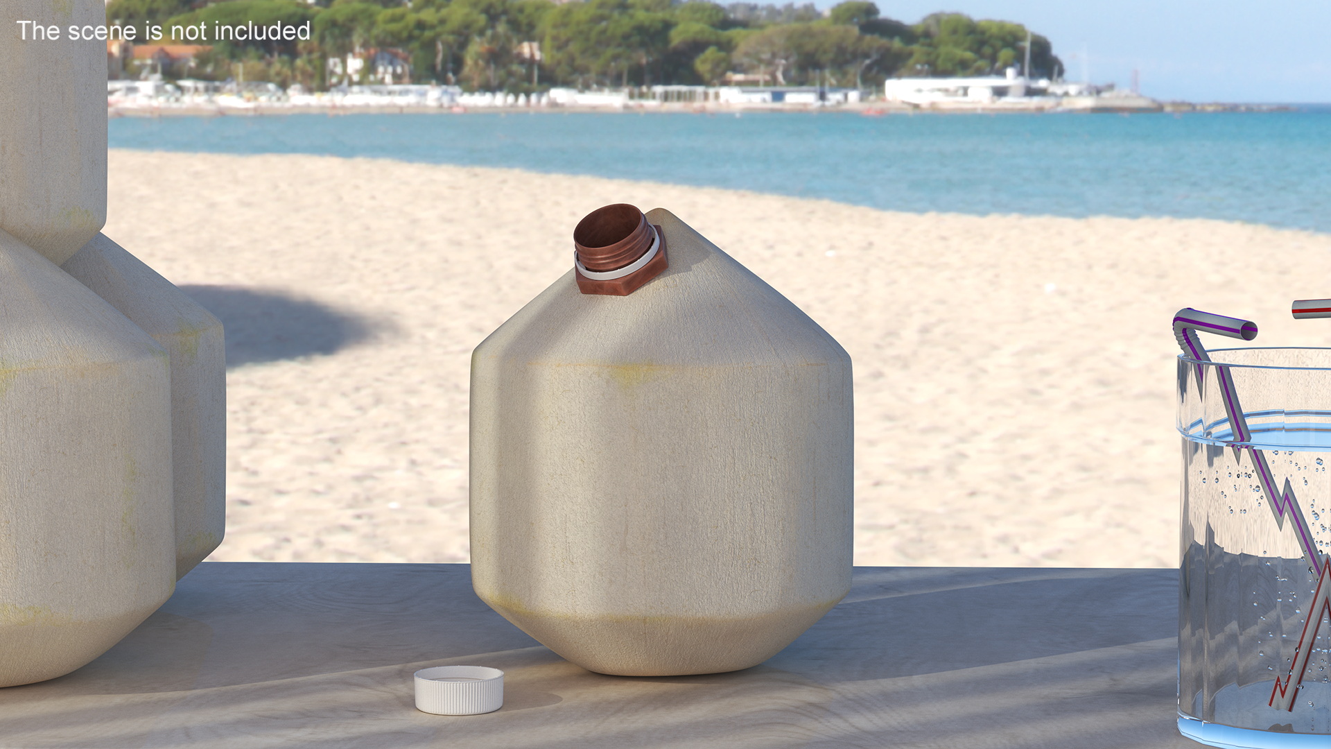 3D Young Shelled Tapped Coconut model