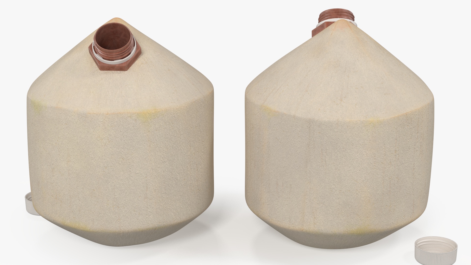 3D Young Shelled Tapped Coconut model