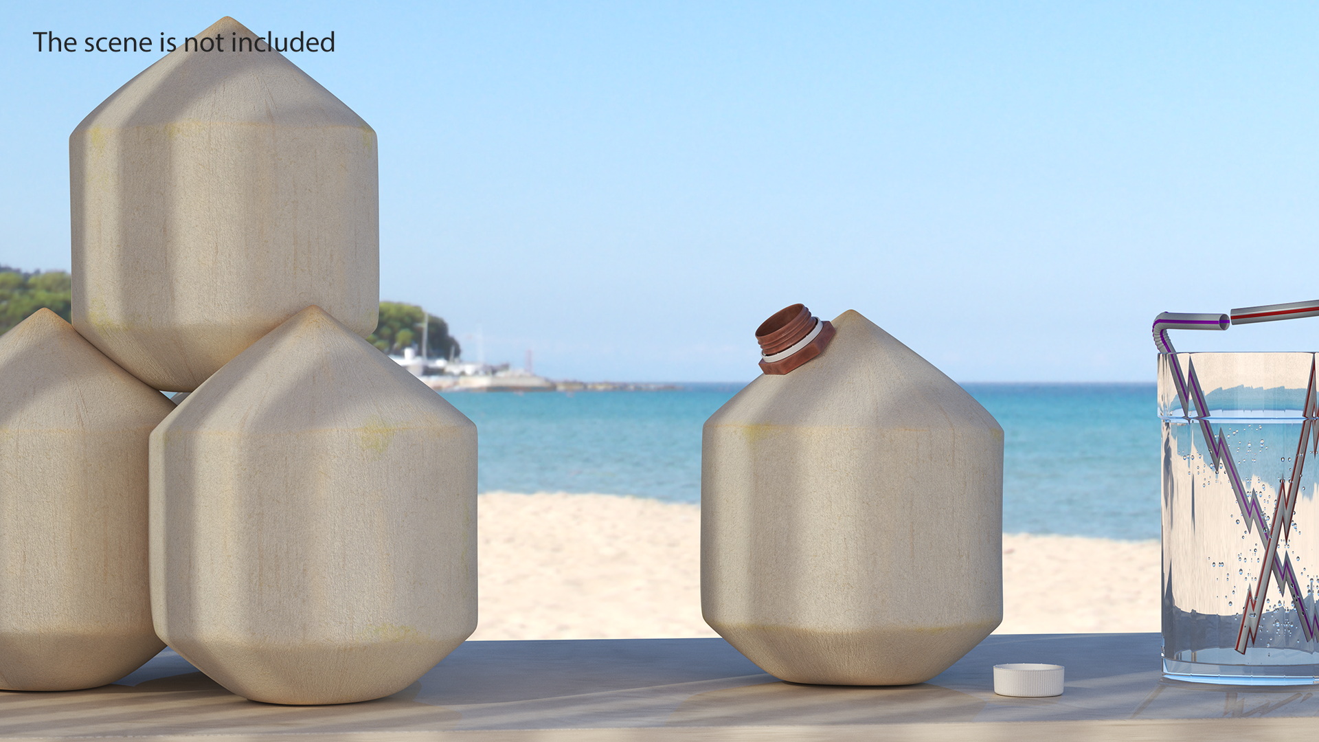 3D Young Shelled Tapped Coconut model