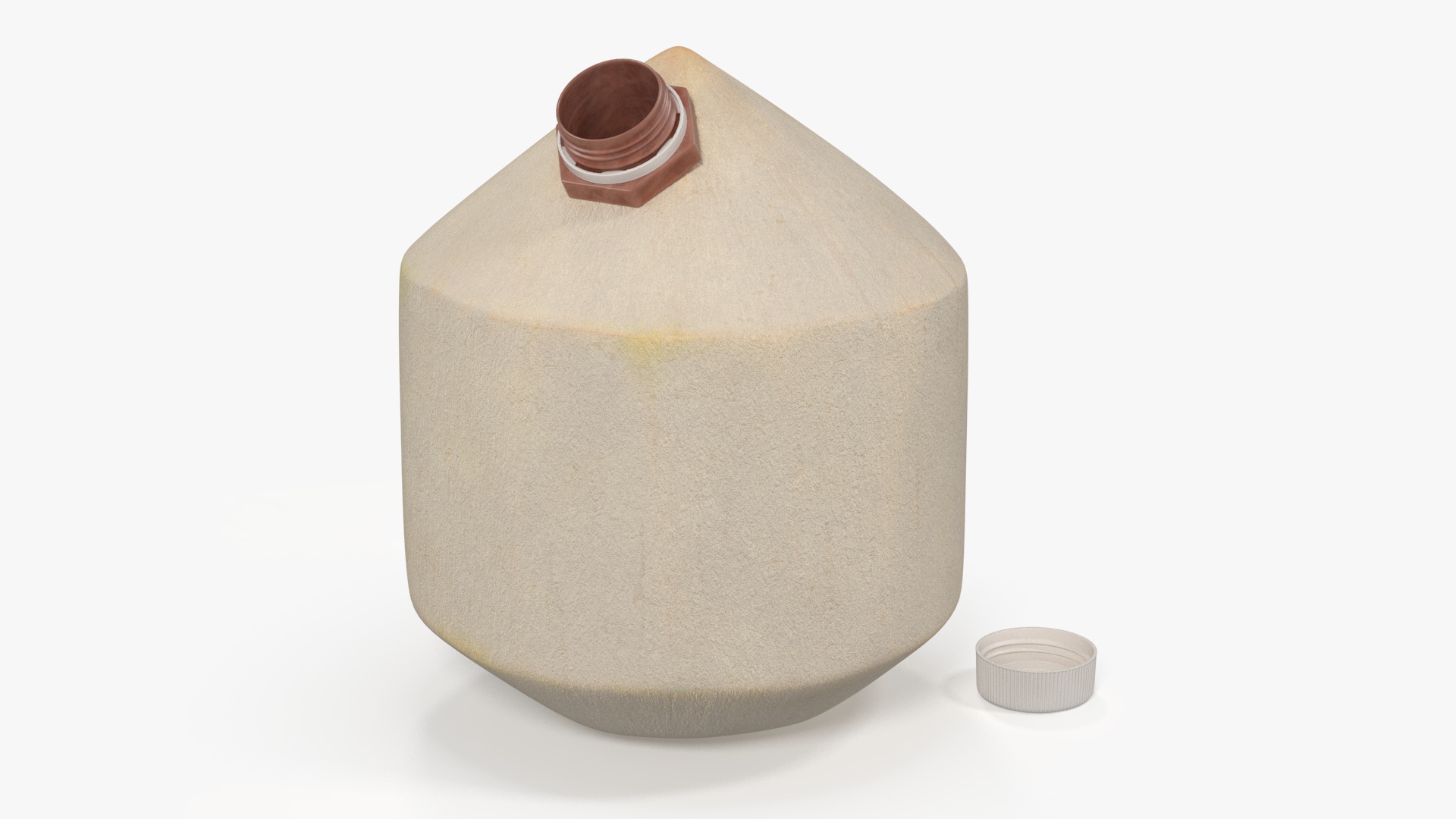 3D Young Shelled Tapped Coconut model