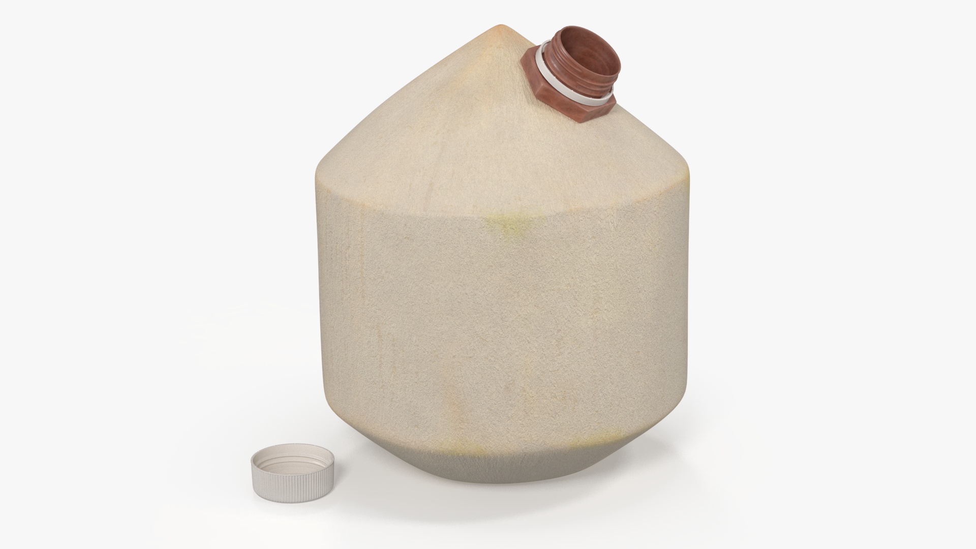 3D Young Shelled Tapped Coconut model