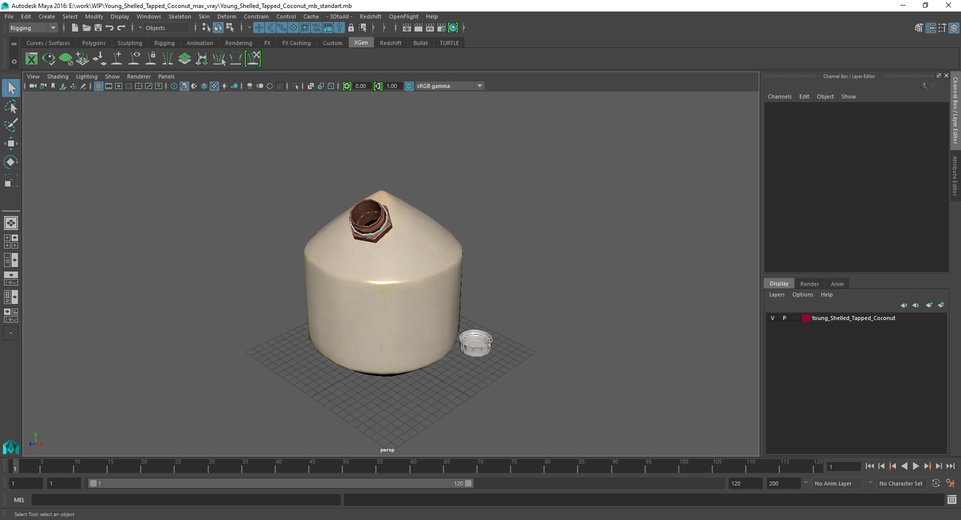 3D Young Shelled Tapped Coconut model