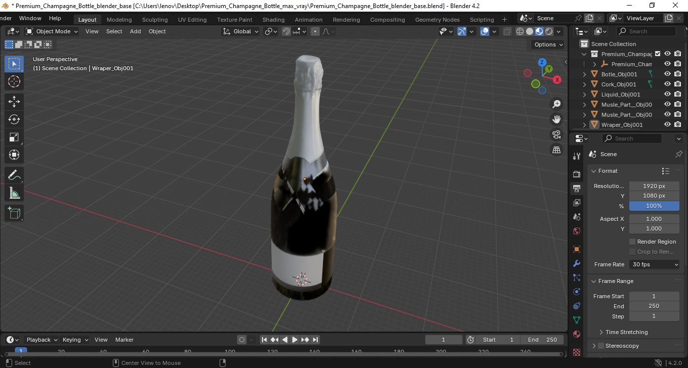 Premium Champagne Bottle 3D model